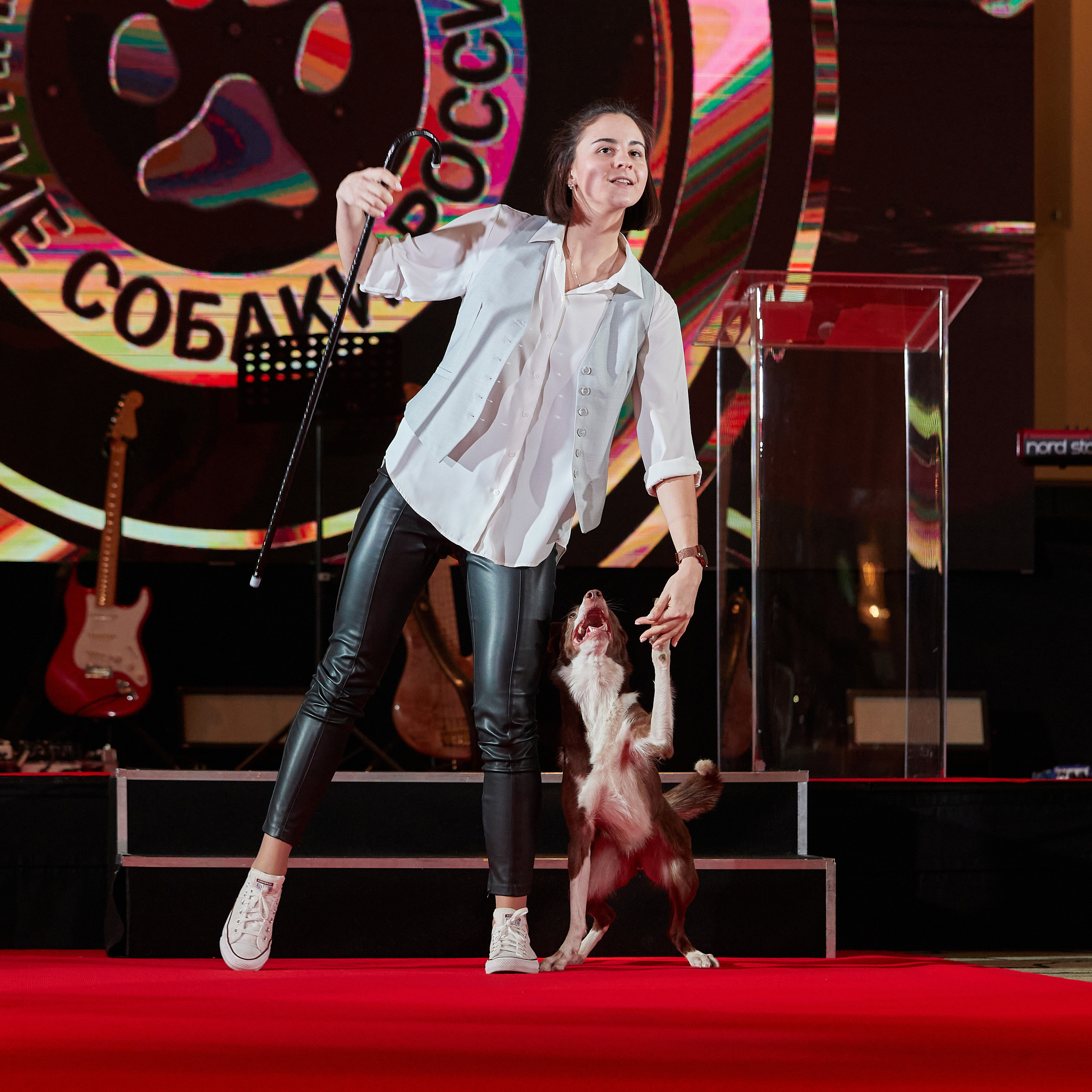 Репортаж с церемонии «BEST RUSSIAN DOG 2022». ФОТОГРАФ-АНИМАЛИСТ l LANA POLYAKOVA