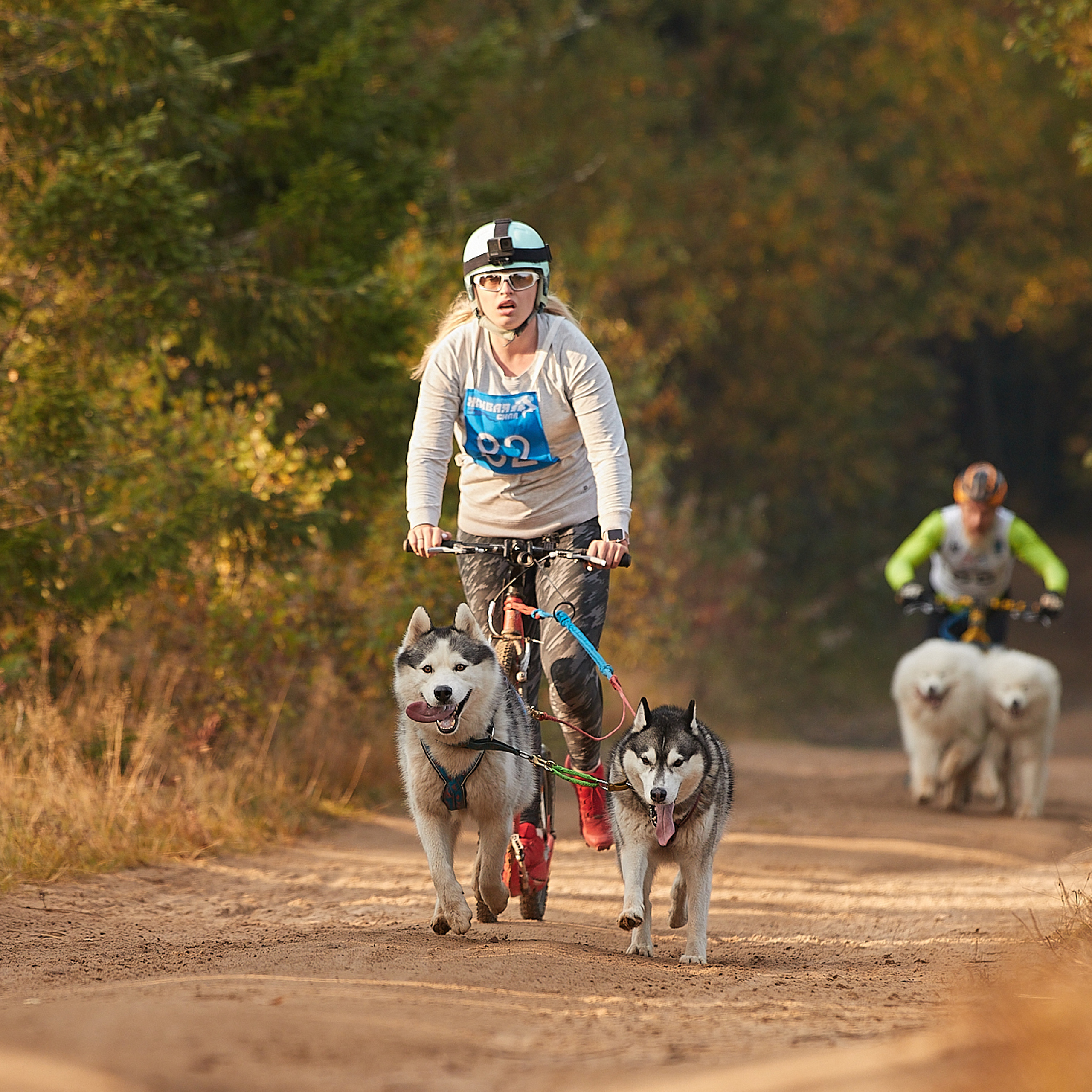 ЧЕМПИОНАТ РОССИИ РКФ 27 сентября 2020 г., 2й день. ФОТОГРАФ-АНИМАЛИСТ l LANA POLYAKOVA