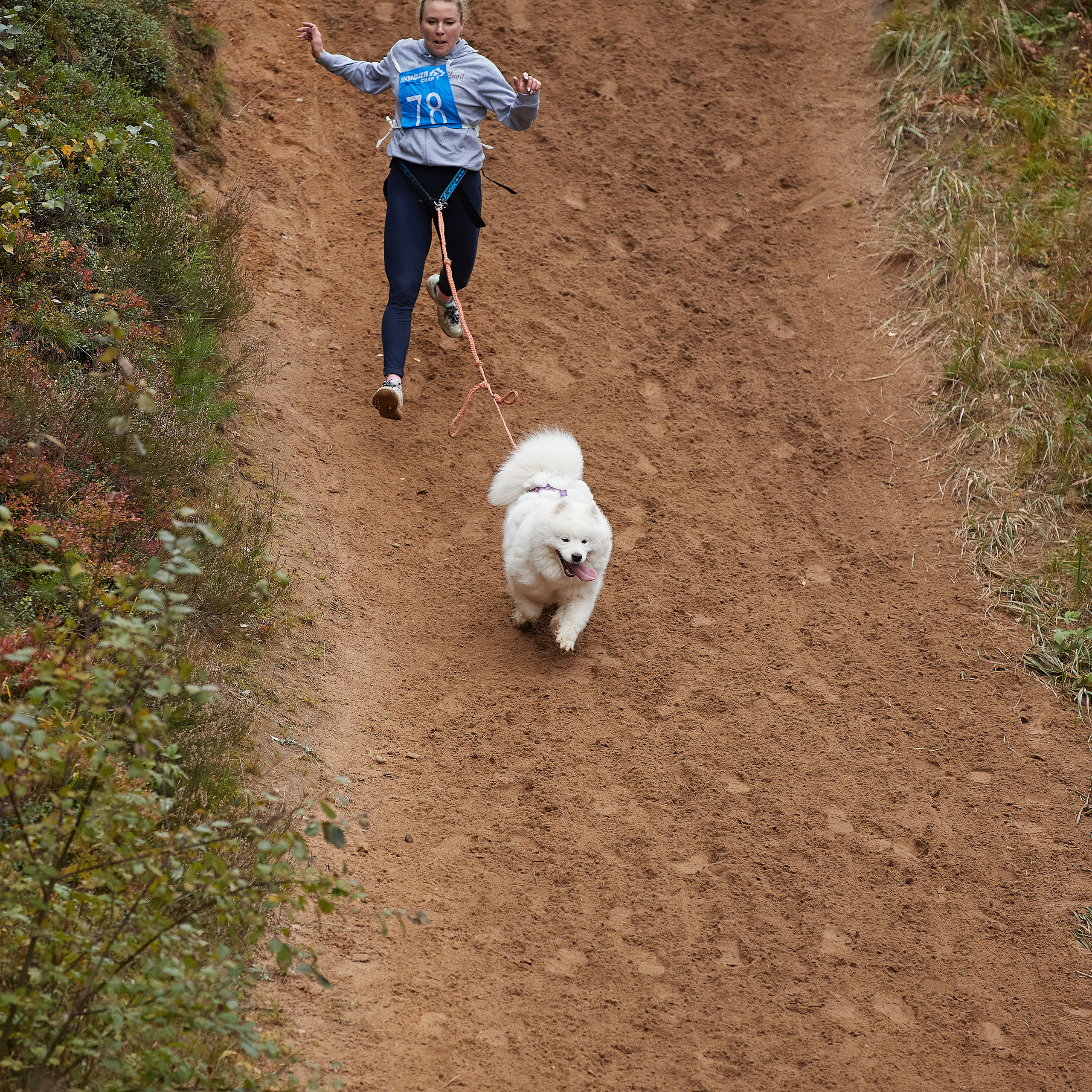 ЧЕМПИОНАТ РОССИИ РКФ 25–26 сентября 2021 г. ФОТОГРАФ-АНИМАЛИСТ l LANA POLYAKOVA