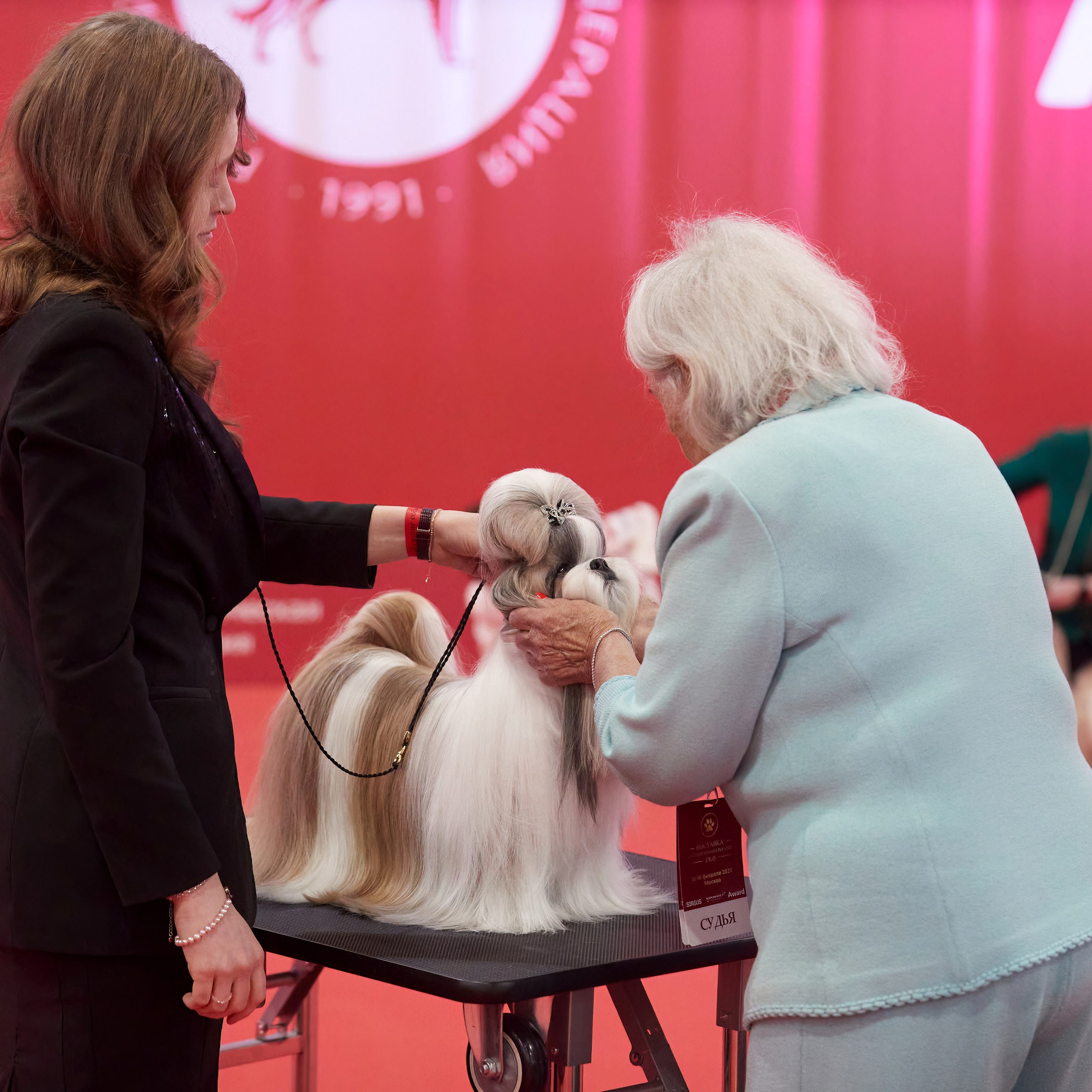 Шоу чемпионов «ЛУЧШИЕ СОБАКИ РОССИИ». ФОТОГРАФ-АНИМАЛИСТ l LANA POLYAKOVA