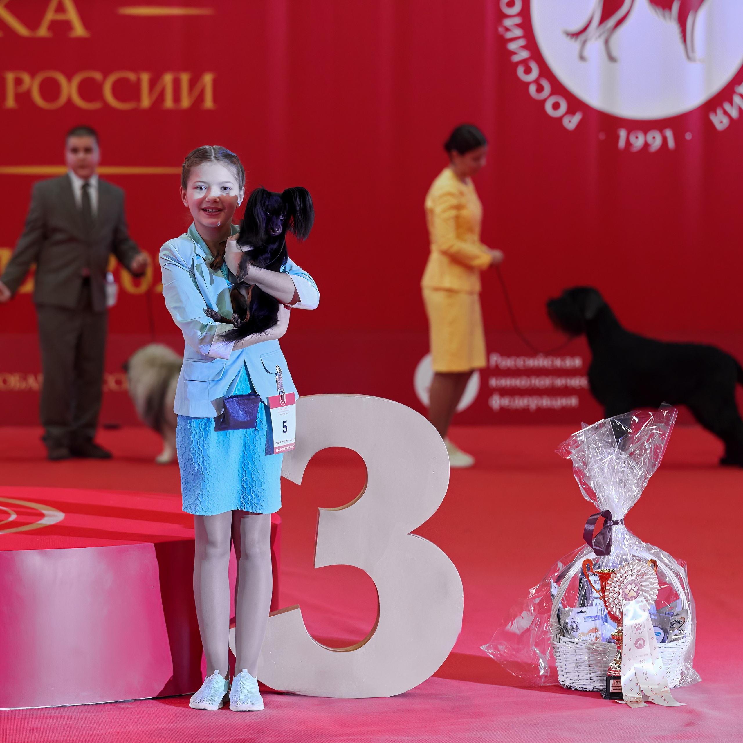 Шоу чемпионов «ЛУЧШИЕ СОБАКИ РОССИИ». ФОТОГРАФ-АНИМАЛИСТ l LANA POLYAKOVA