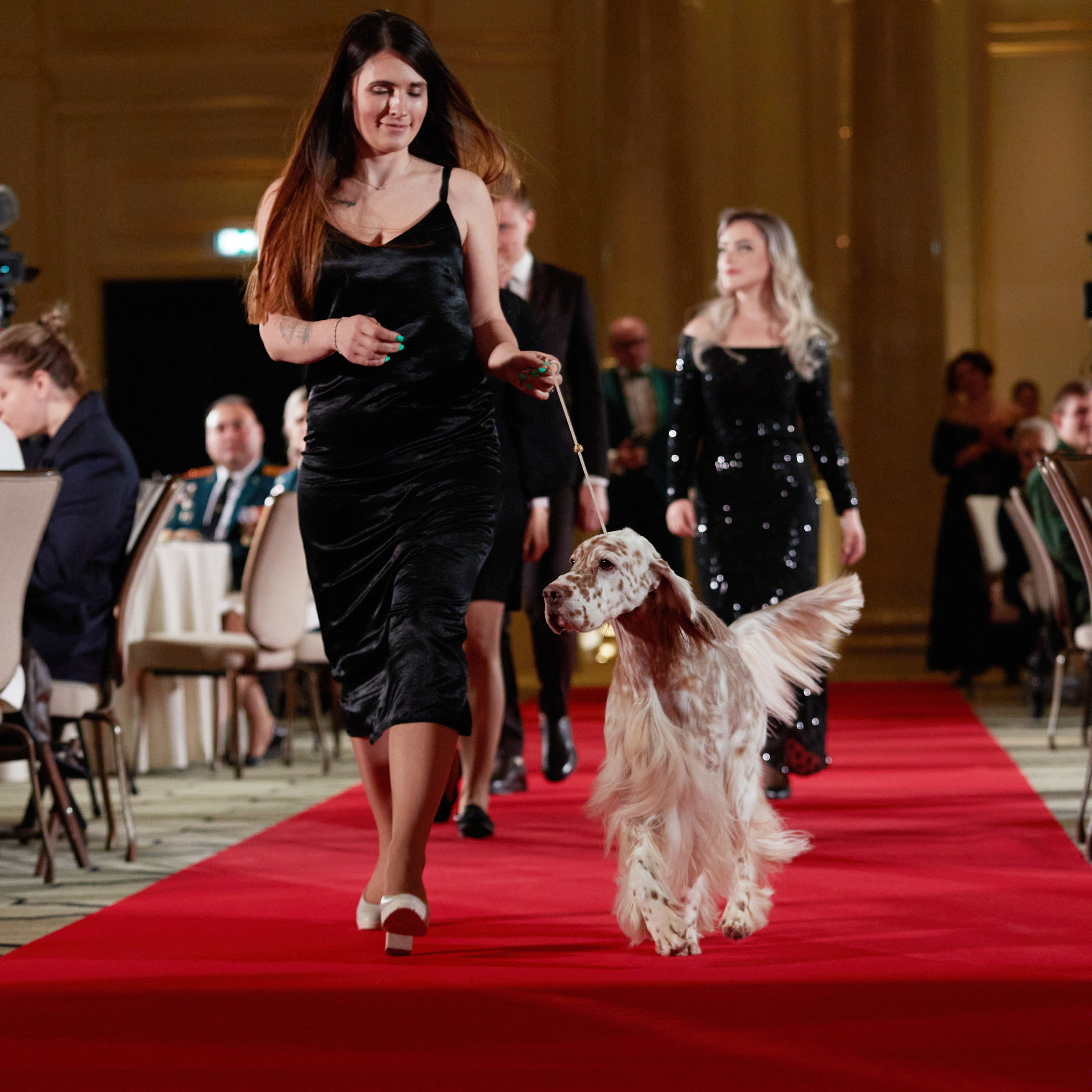 Репортаж с церемонии «BEST RUSSIAN DOG 2023». ФОТОГРАФ-АНИМАЛИСТ l LANA POLYAKOVA