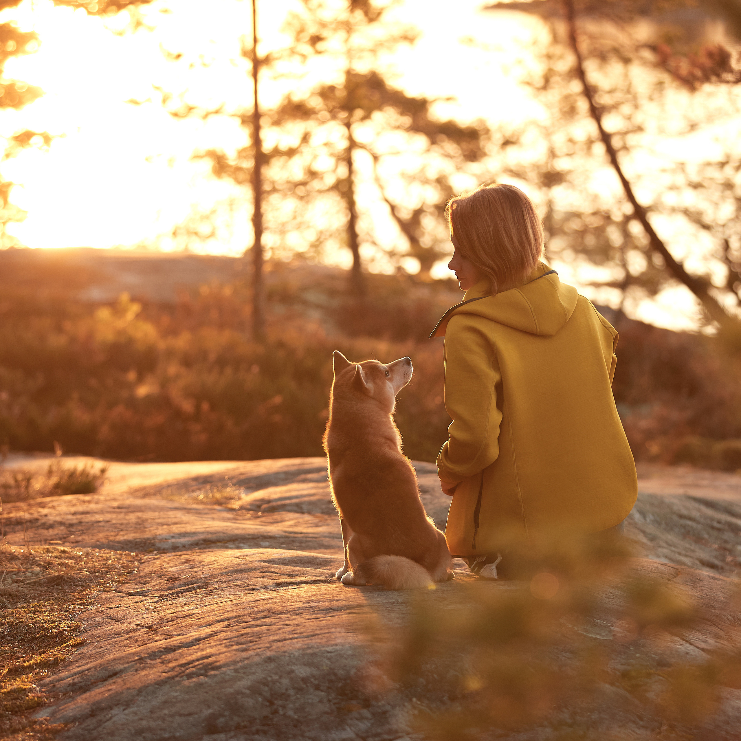Приятные новости от WDPA. ФОТОГРАФ-АНИМАЛИСТ l LANA POLYAKOVA