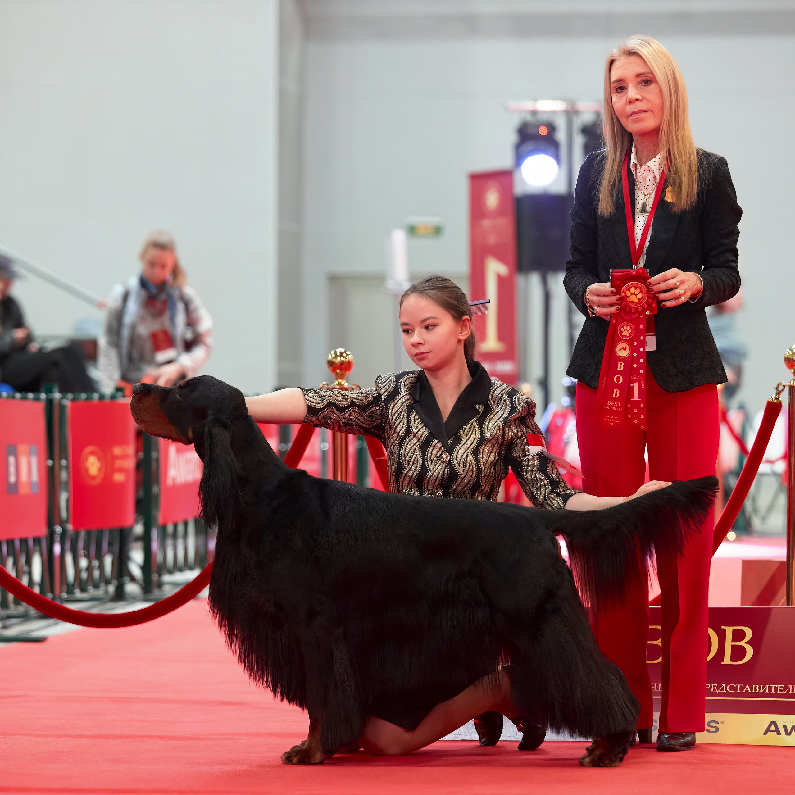 Шоу чемпионов «ЛУЧШИЕ СОБАКИ РОССИИ». ФОТОГРАФ-АНИМАЛИСТ l LANA POLYAKOVA