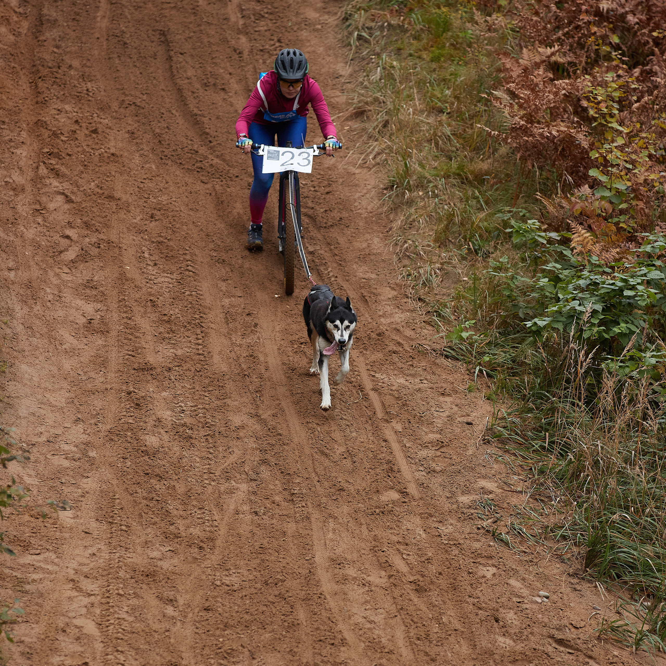 ЧЕМПИОНАТ РОССИИ РКФ 25–26 сентября 2021 г. ФОТОГРАФ-АНИМАЛИСТ l LANA POLYAKOVA