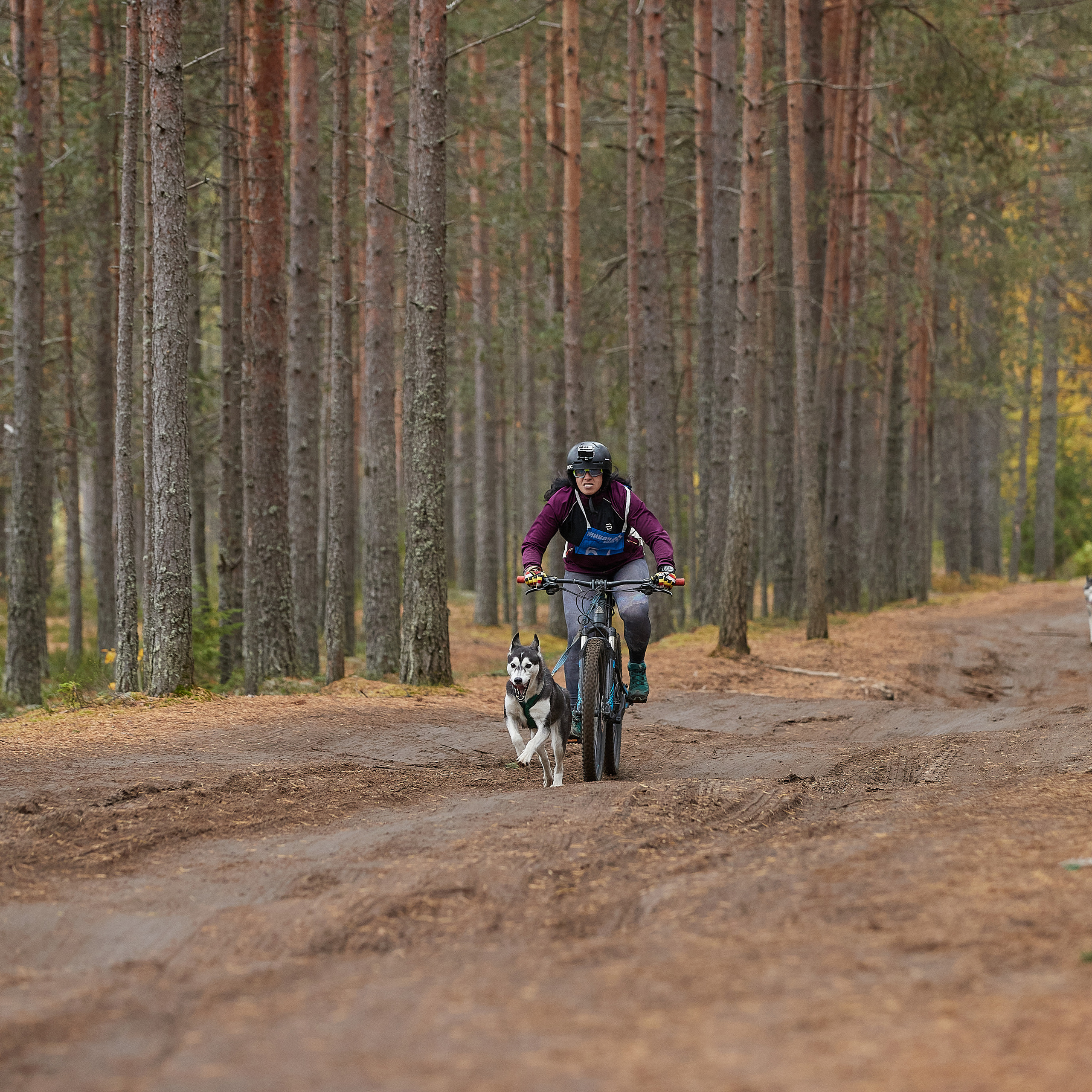 ЧЕМПИОНАТ РОССИИ РКФ 25–26 сентября 2021 г. ФОТОГРАФ-АНИМАЛИСТ l LANA POLYAKOVA