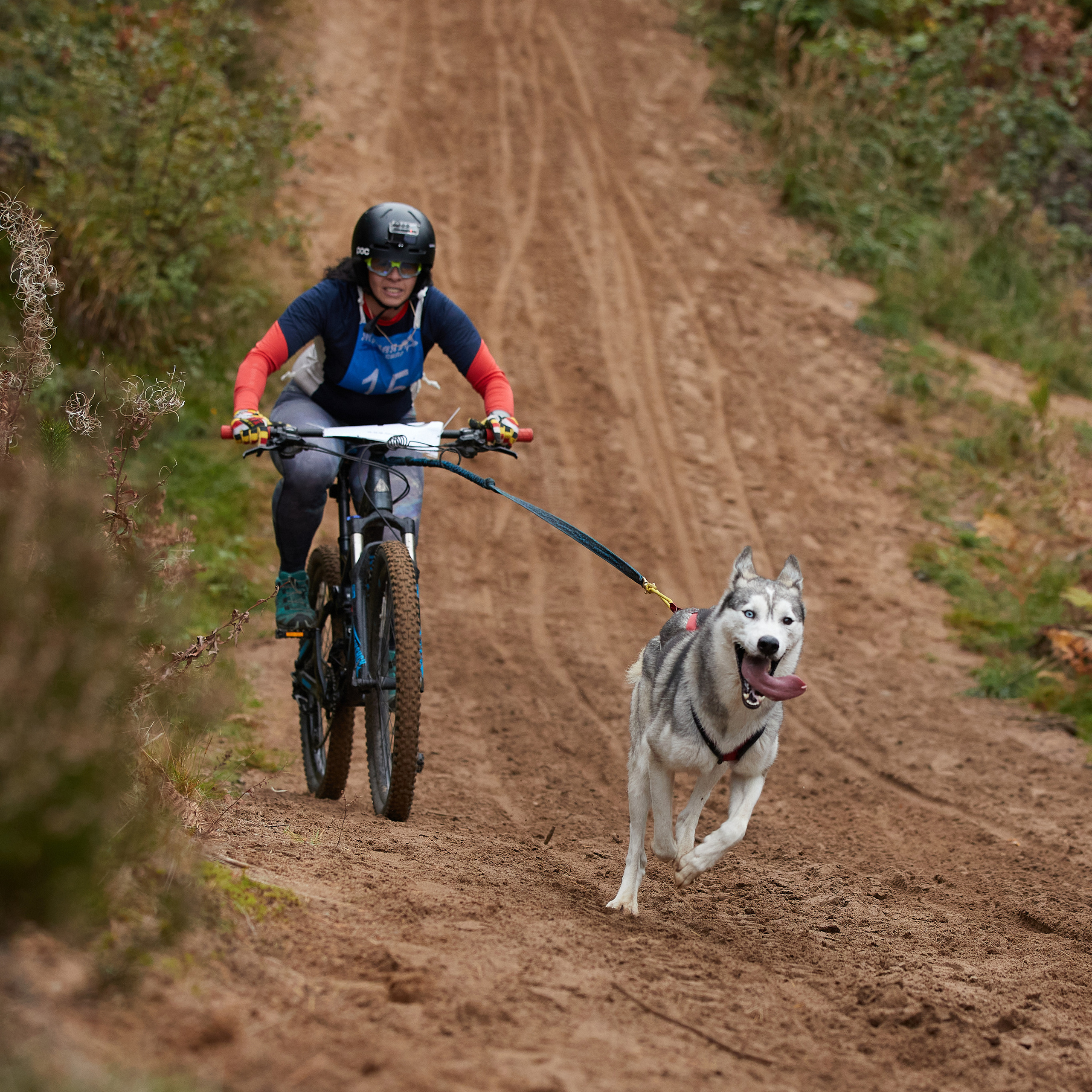 ЧЕМПИОНАТ РОССИИ РКФ 25–26 сентября 2021 г. ФОТОГРАФ-АНИМАЛИСТ l LANA POLYAKOVA