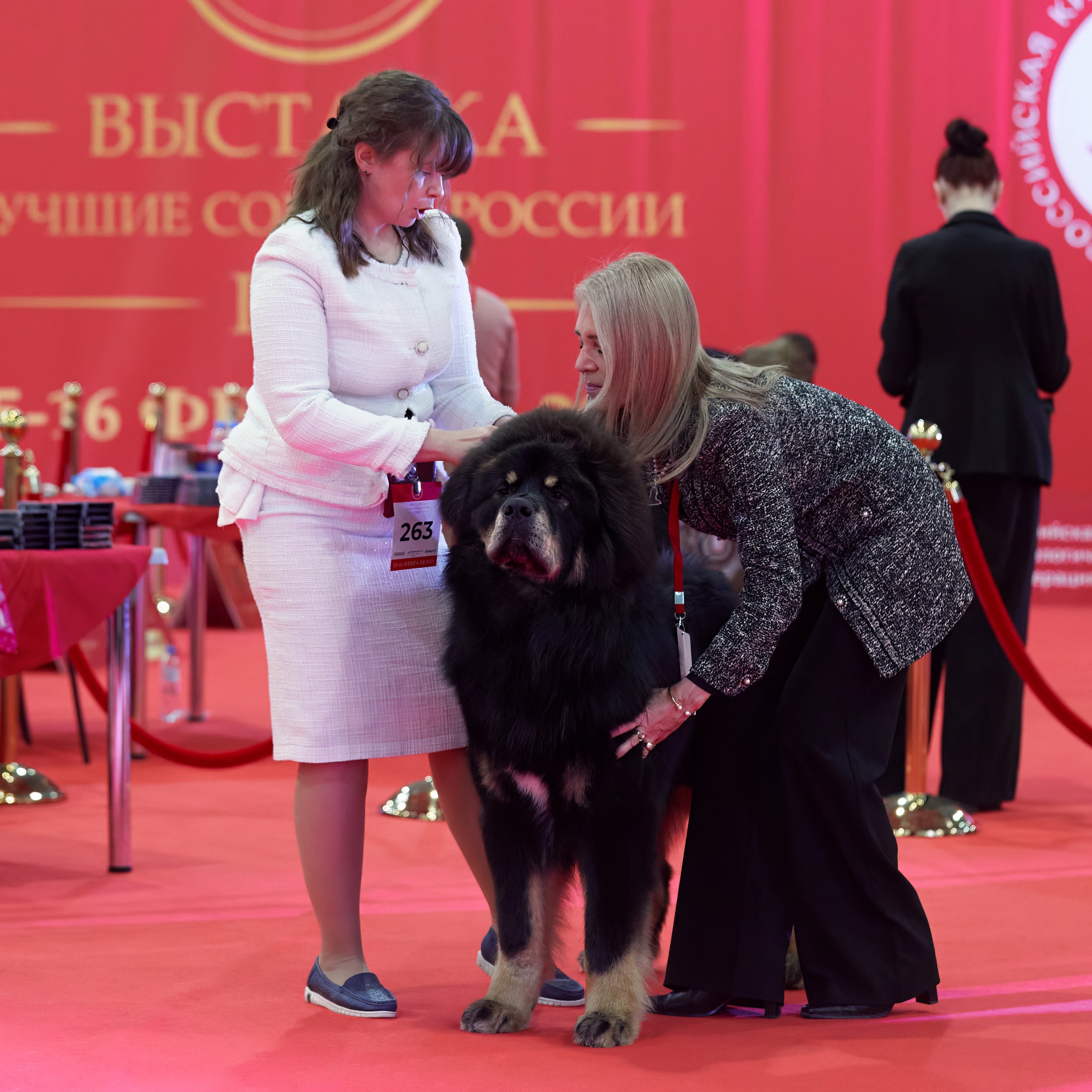 Шоу чемпионов «ЛУЧШИЕ СОБАКИ РОССИИ». ФОТОГРАФ-АНИМАЛИСТ l LANA POLYAKOVA