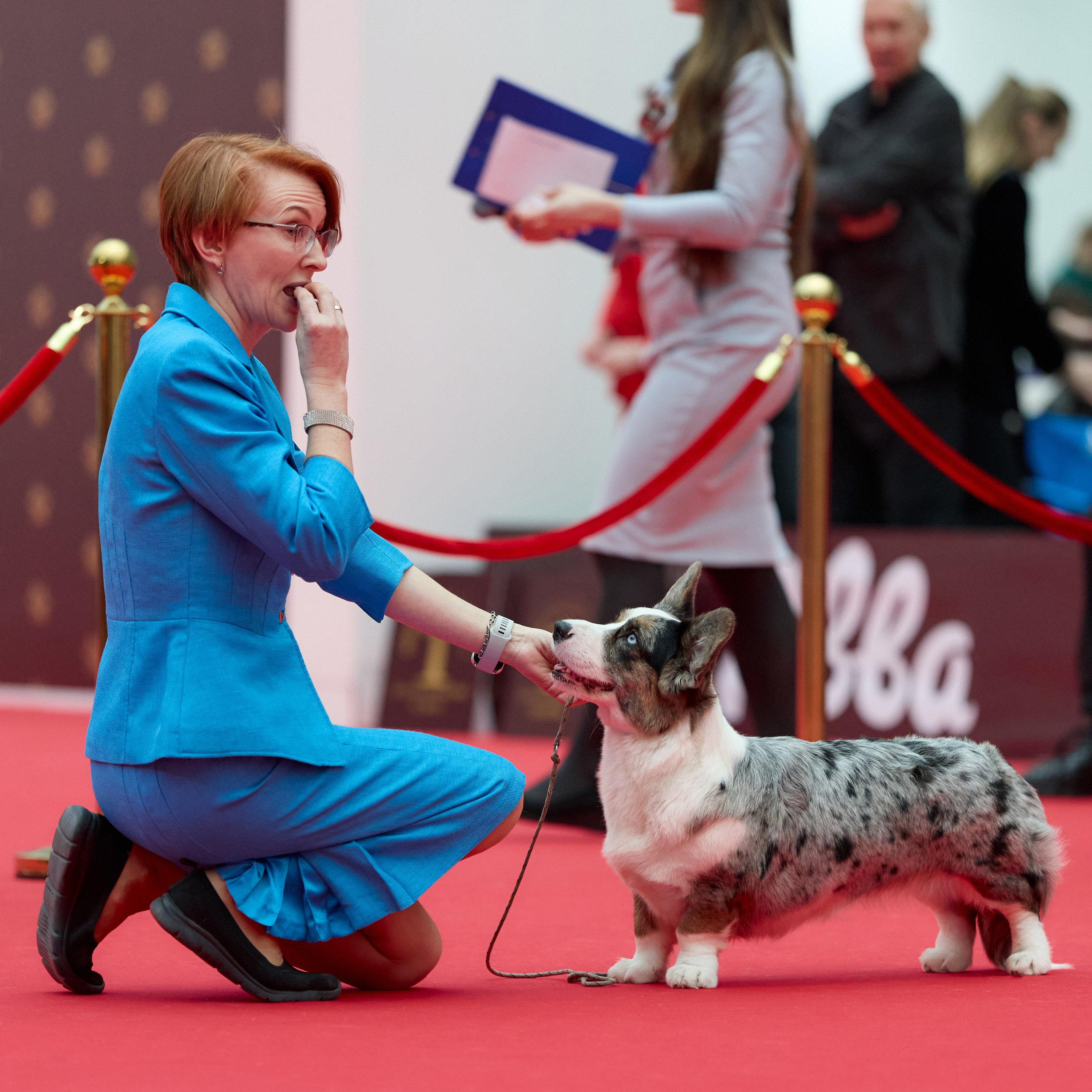 Шоу чемпионов «Лучшие собаки и кошки России». ФОТОГРАФ-АНИМАЛИСТ l LANA POLYAKOVA