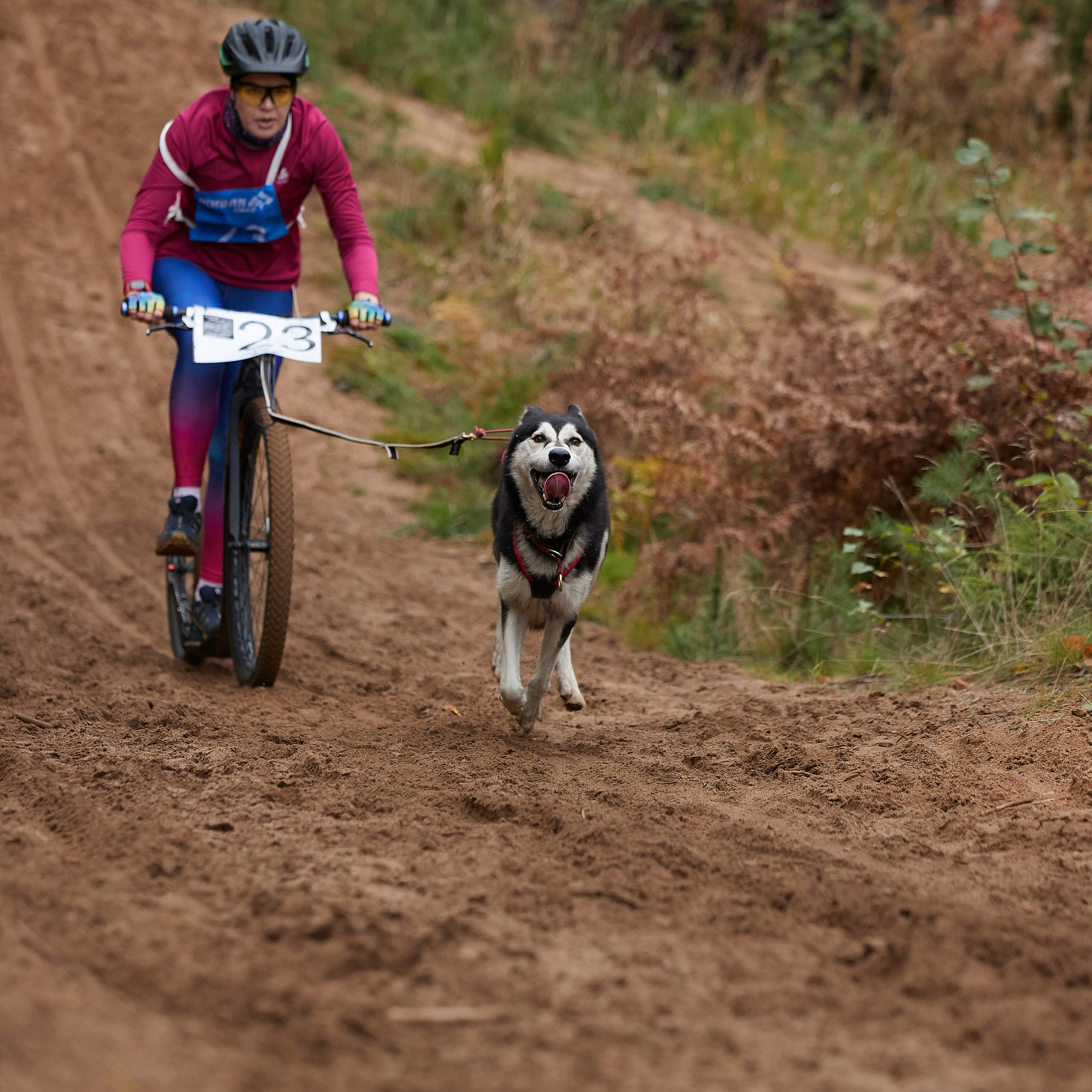 ЧЕМПИОНАТ РОССИИ РКФ 25–26 сентября 2021 г. ФОТОГРАФ-АНИМАЛИСТ l LANA POLYAKOVA