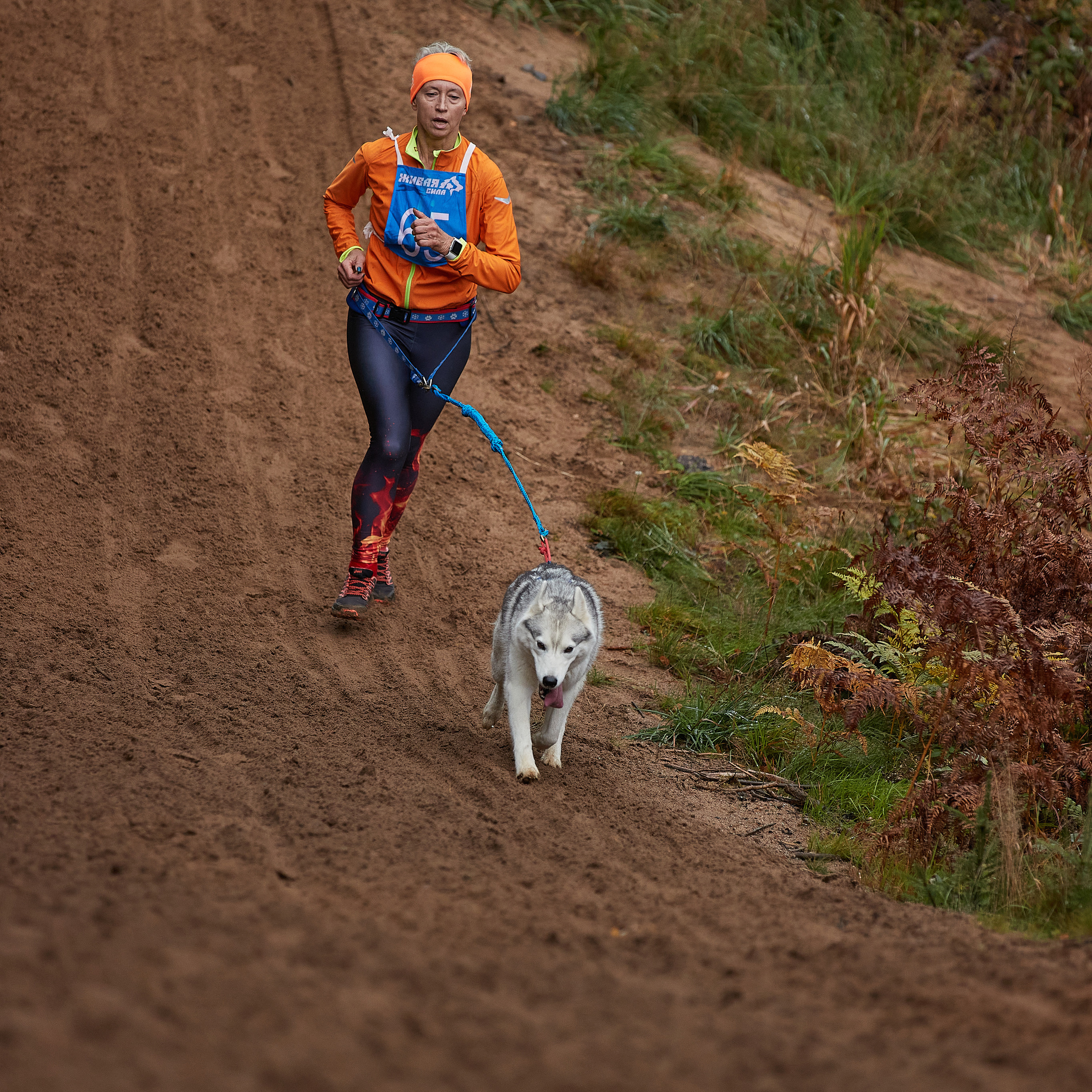 ЧЕМПИОНАТ РОССИИ РКФ 25–26 сентября 2021 г. ФОТОГРАФ-АНИМАЛИСТ l LANA POLYAKOVA