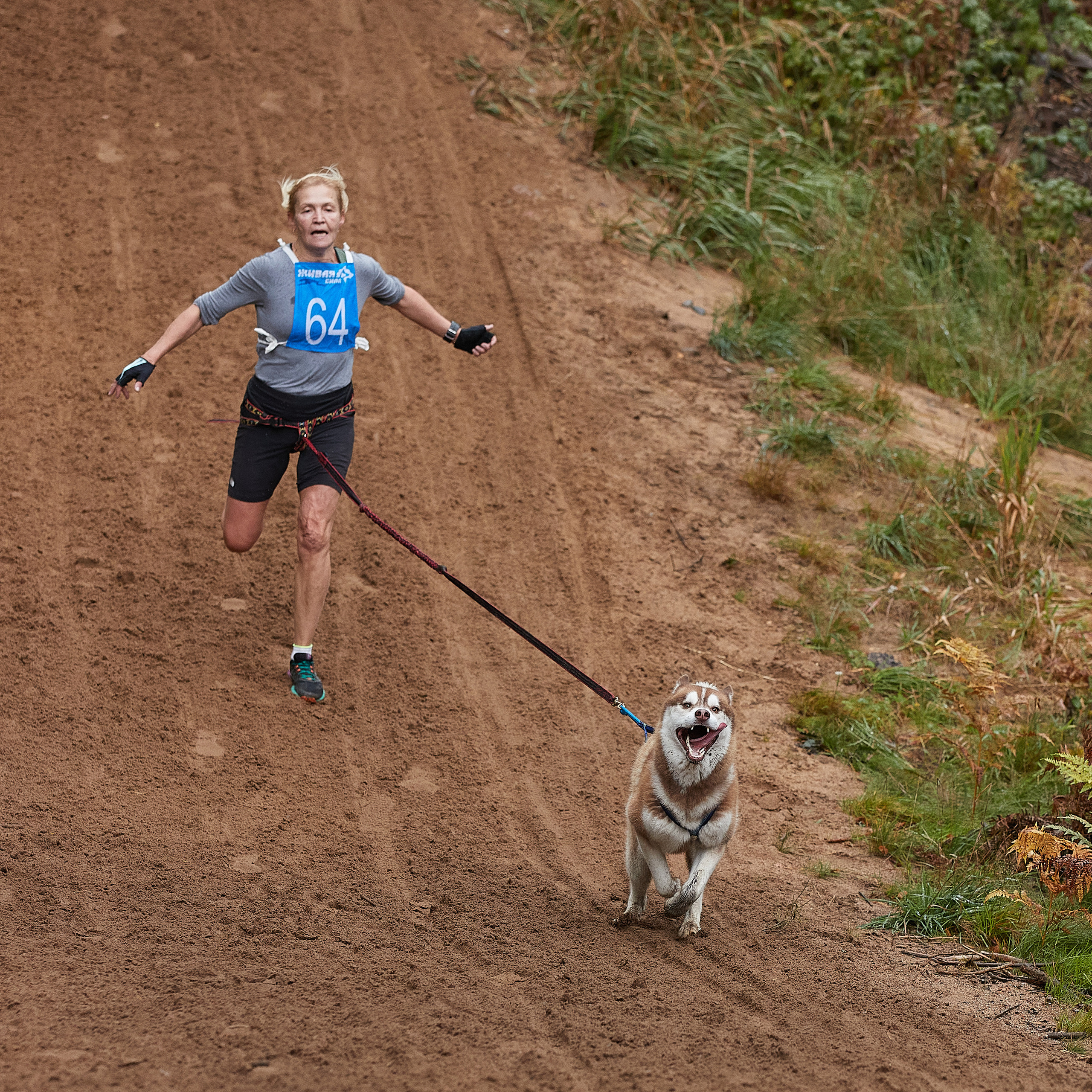 ЧЕМПИОНАТ РОССИИ РКФ 25–26 сентября 2021 г. ФОТОГРАФ-АНИМАЛИСТ l LANA POLYAKOVA