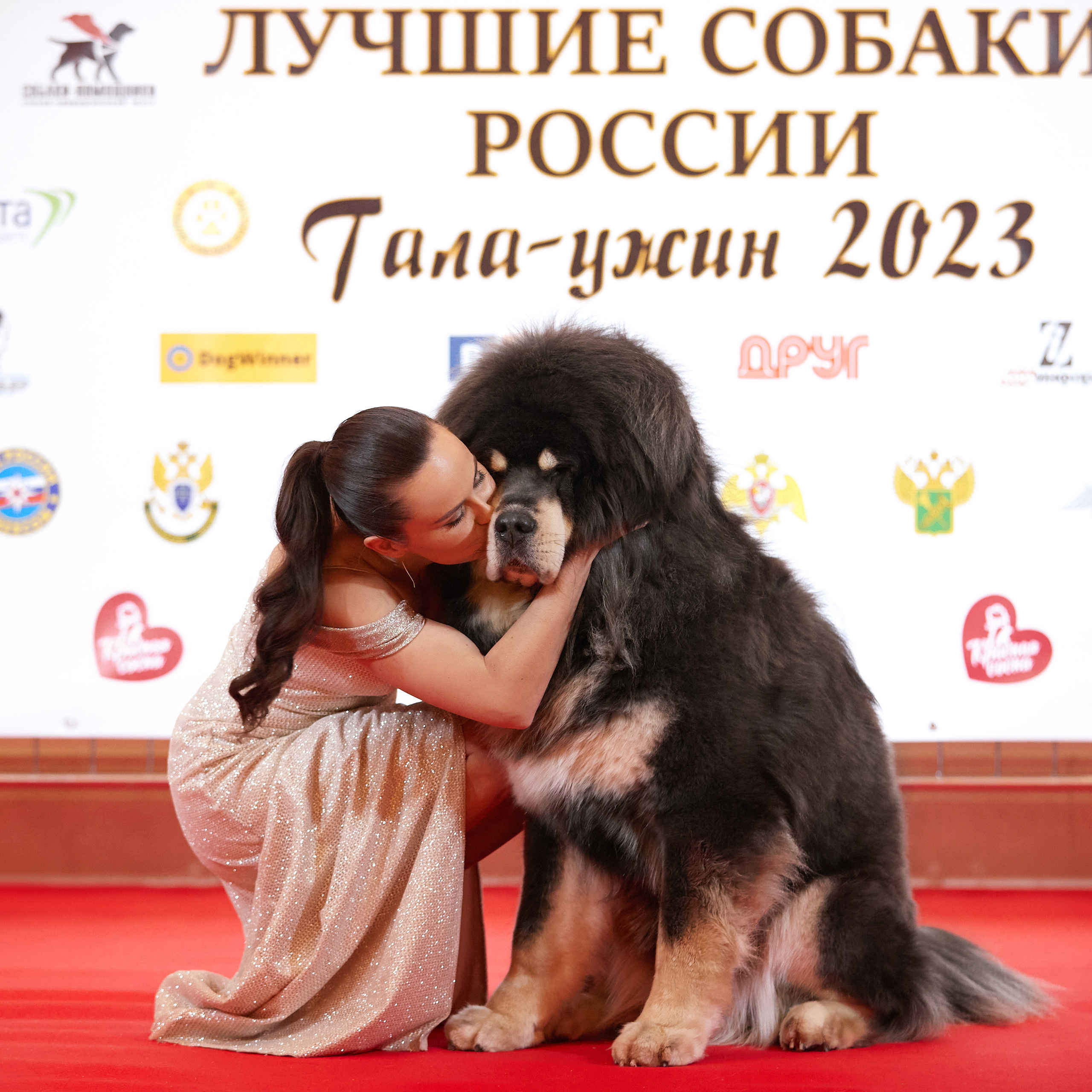 Репортаж с церемонии «BEST RUSSIAN DOG 2022». ФОТОГРАФ-АНИМАЛИСТ l LANA POLYAKOVA