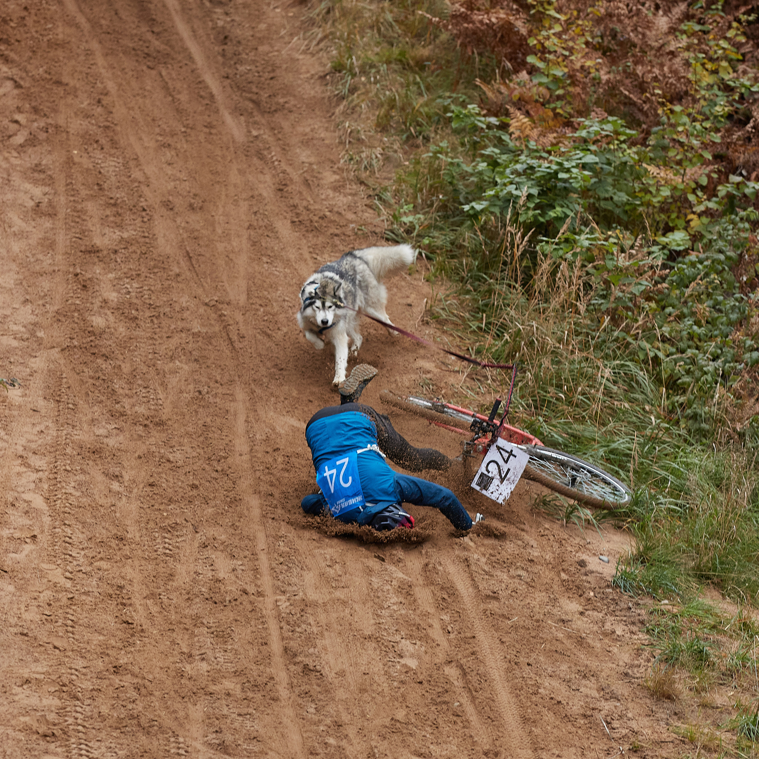 ЧЕМПИОНАТ РОССИИ РКФ 25–26 сентября 2021 г. ФОТОГРАФ-АНИМАЛИСТ l LANA POLYAKOVA
