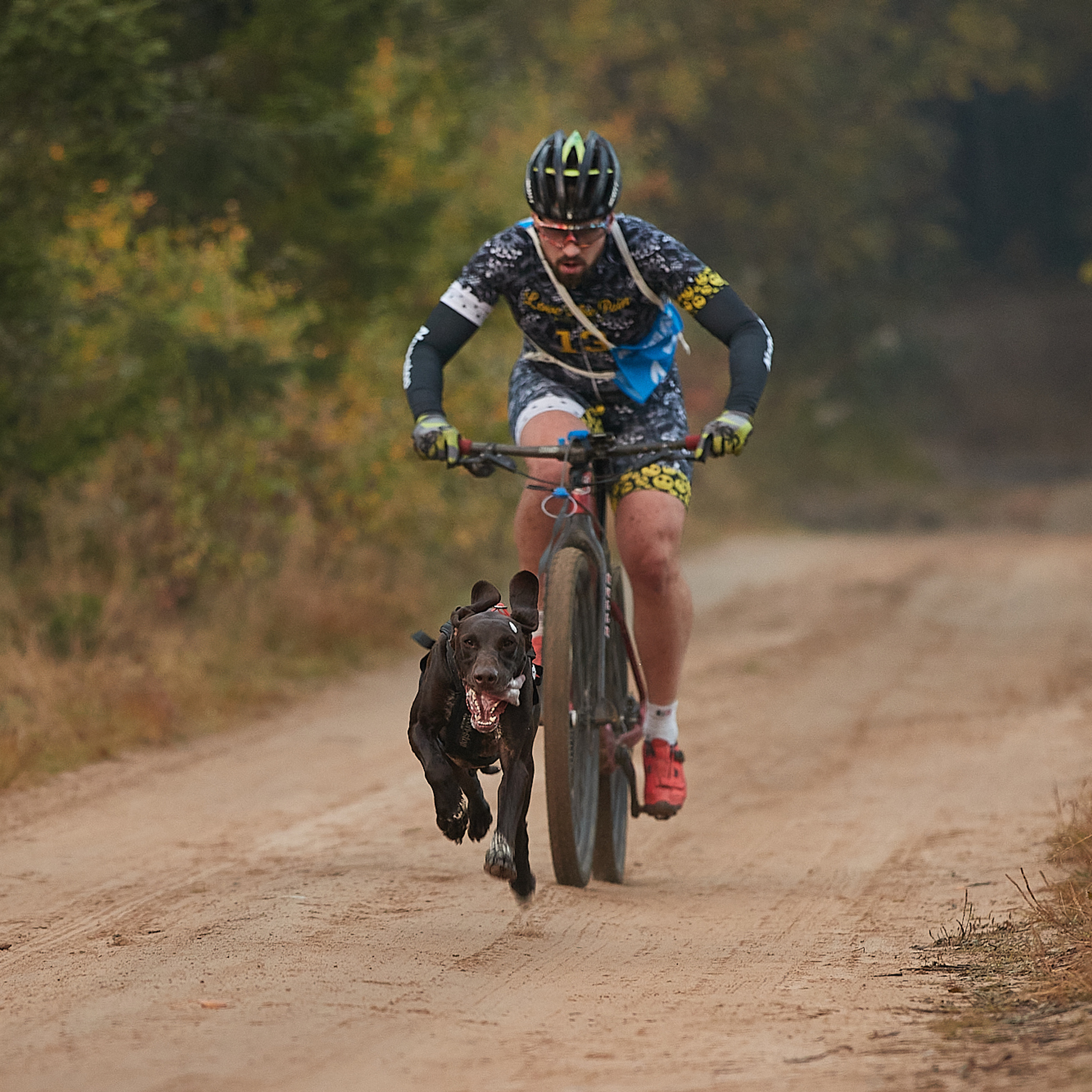 ЧЕМПИОНАТ РОССИИ РКФ 27 сентября 2020 г., 2й день. ФОТОГРАФ-АНИМАЛИСТ l LANA POLYAKOVA