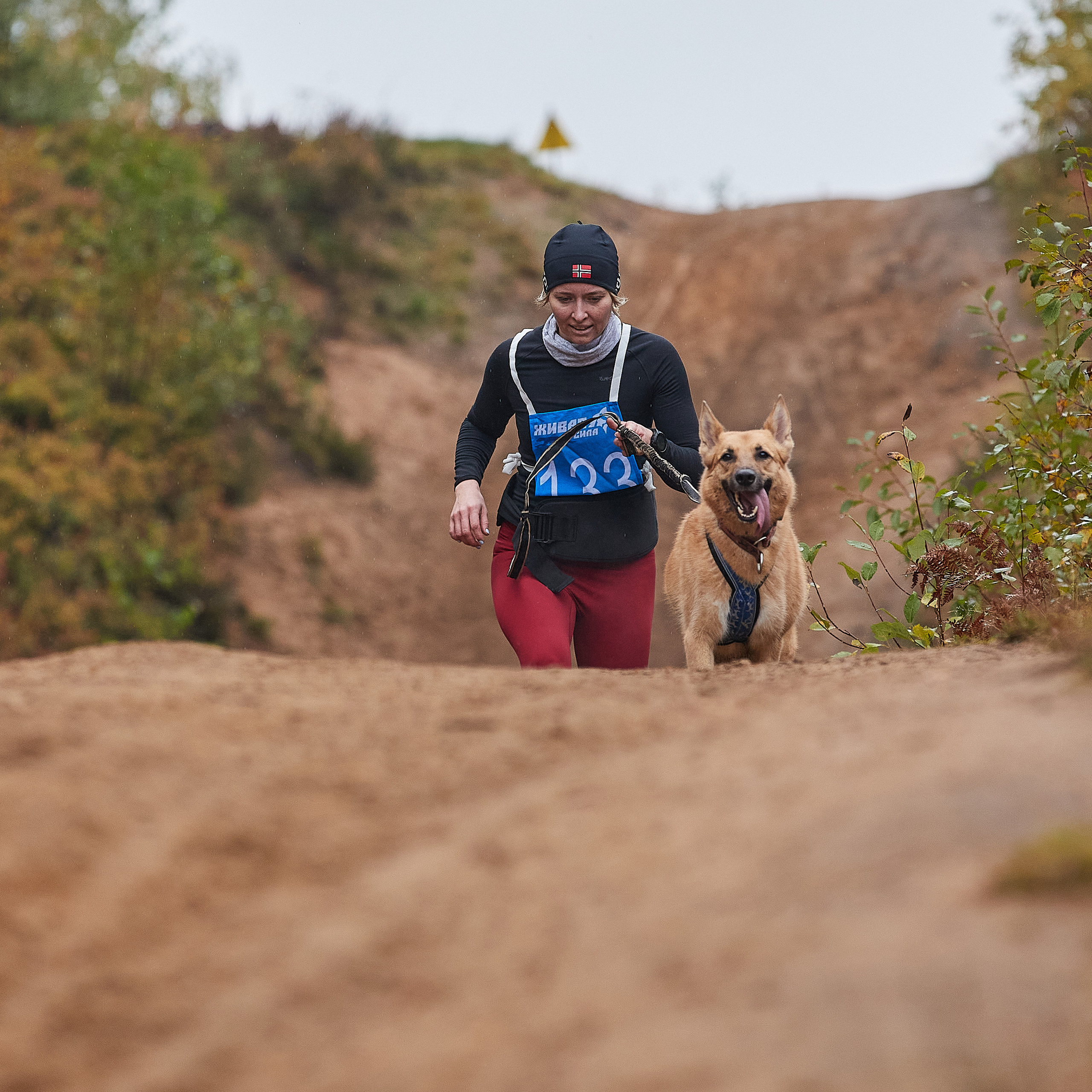 ЧЕМПИОНАТ РОССИИ РКФ 25–26 сентября 2021 г. ФОТОГРАФ-АНИМАЛИСТ l LANA POLYAKOVA
