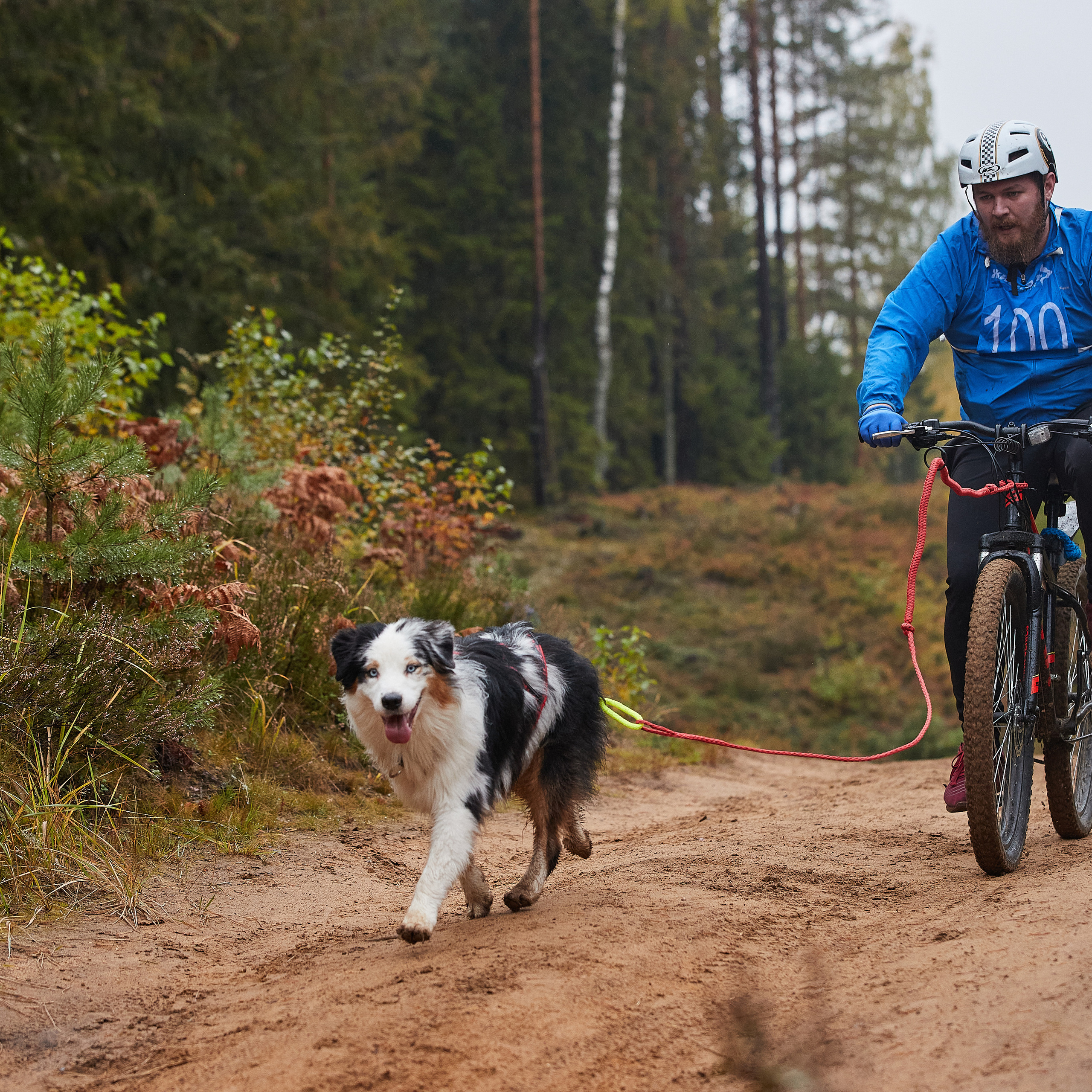 ЧЕМПИОНАТ РОССИИ РКФ 25–26 сентября 2021 г. ФОТОГРАФ-АНИМАЛИСТ l LANA POLYAKOVA