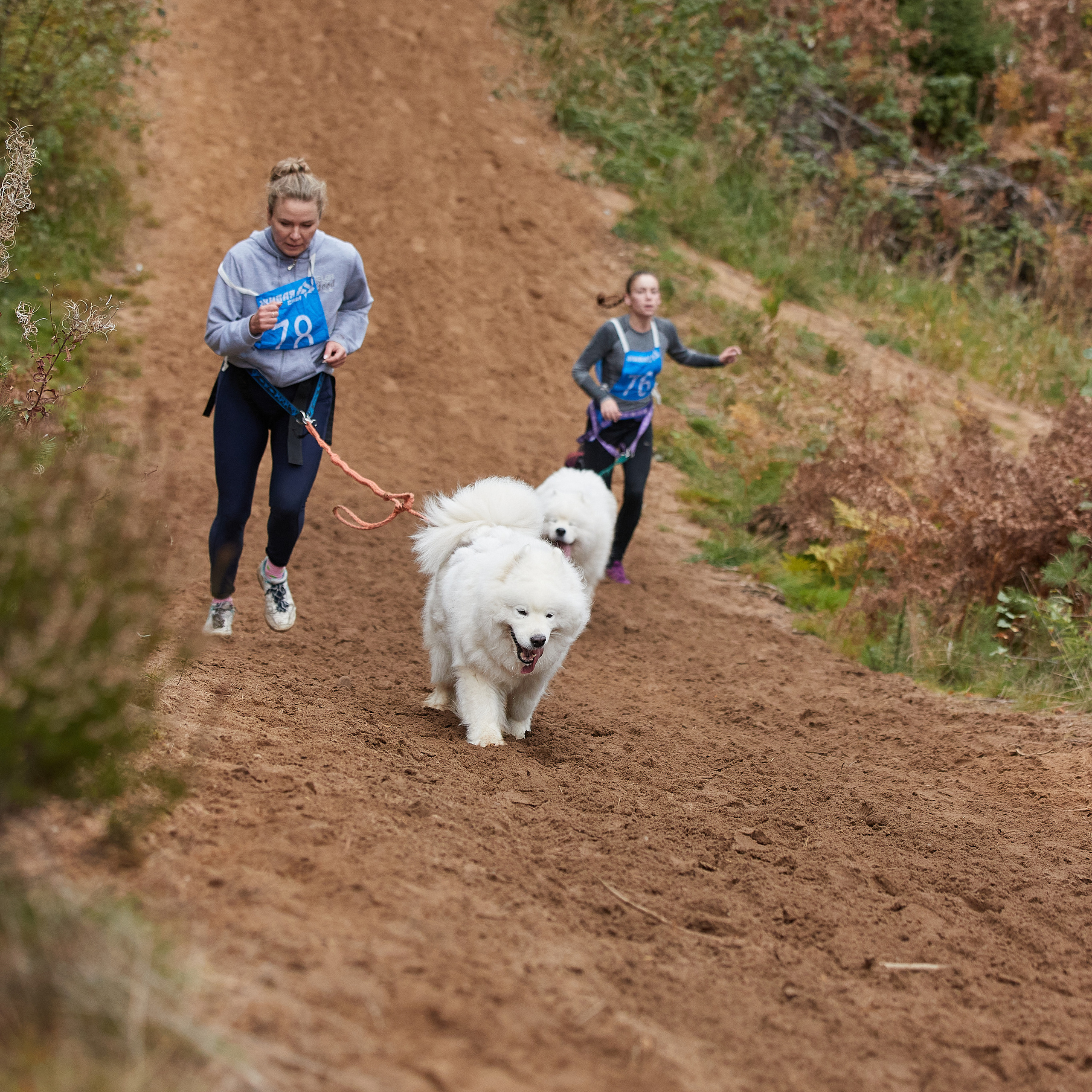 ЧЕМПИОНАТ РОССИИ РКФ 25–26 сентября 2021 г. ФОТОГРАФ-АНИМАЛИСТ l LANA POLYAKOVA