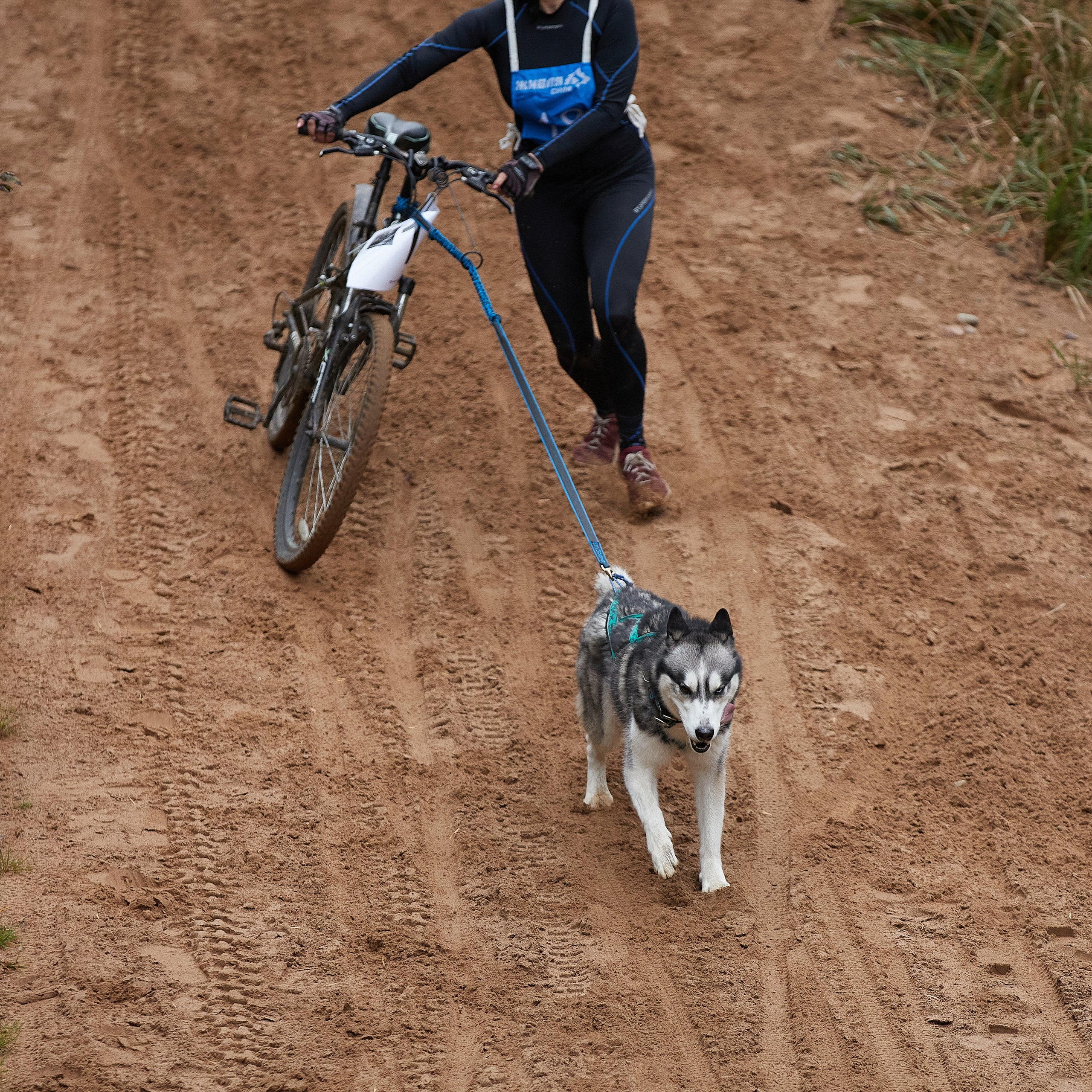 ЧЕМПИОНАТ РОССИИ РКФ 25–26 сентября 2021 г. ФОТОГРАФ-АНИМАЛИСТ l LANA POLYAKOVA