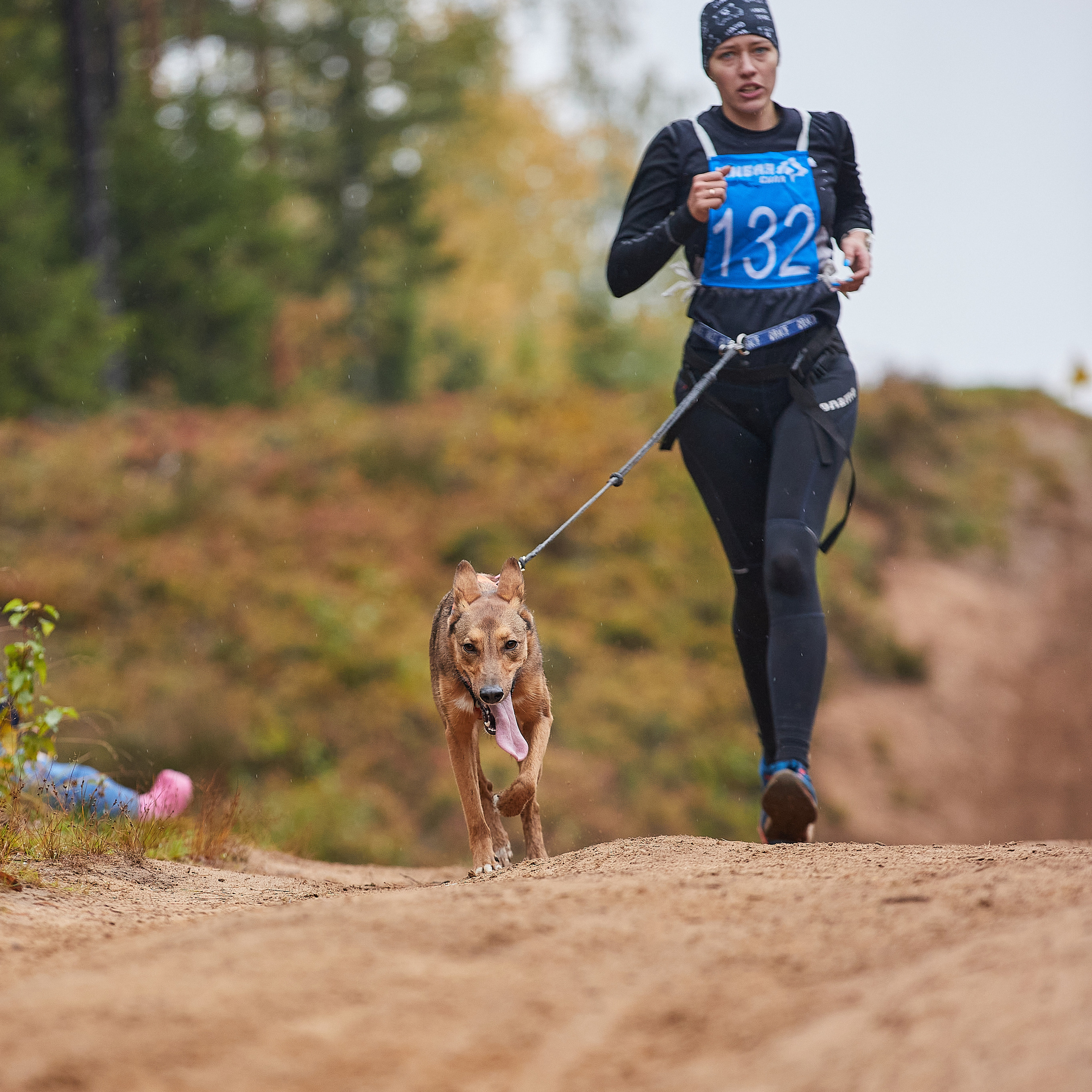 ЧЕМПИОНАТ РОССИИ РКФ 25–26 сентября 2021 г. ФОТОГРАФ-АНИМАЛИСТ l LANA POLYAKOVA