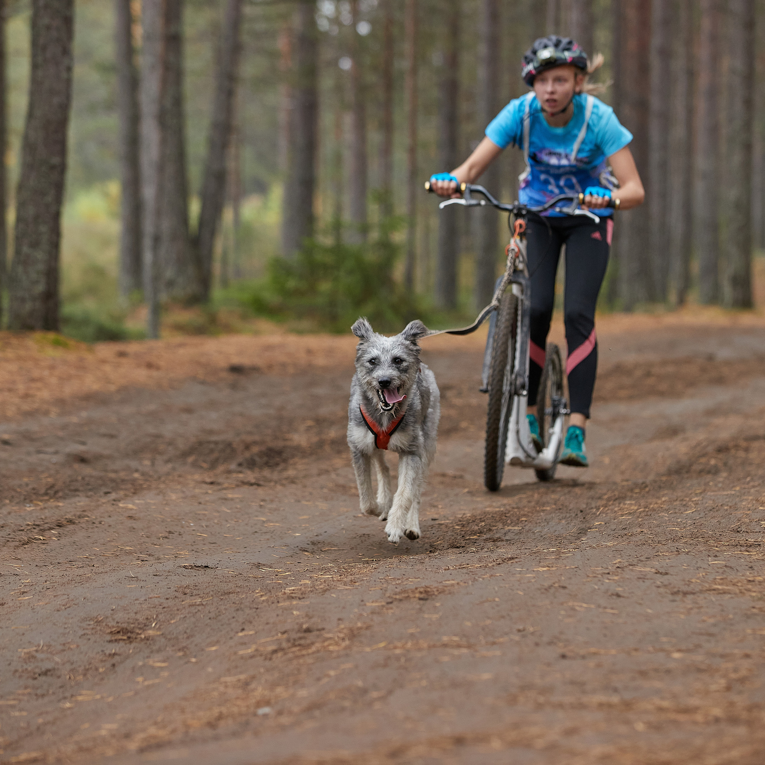 ЧЕМПИОНАТ РОССИИ РКФ 25–26 сентября 2021 г. ФОТОГРАФ-АНИМАЛИСТ l LANA POLYAKOVA