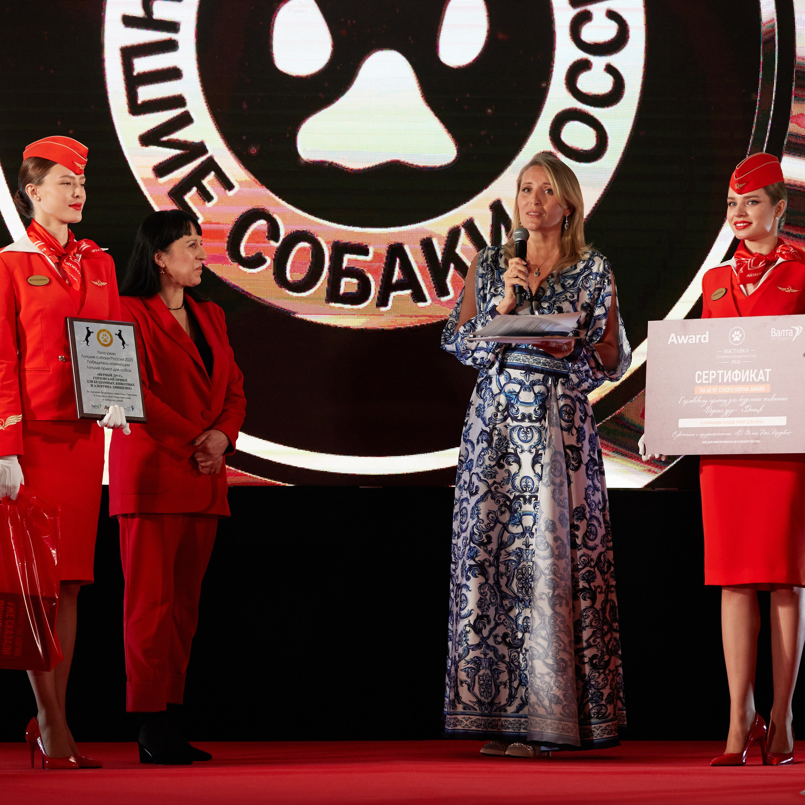 Репортаж с церемонии «BEST RUSSIAN DOG 2023». ФОТОГРАФ-АНИМАЛИСТ l LANA POLYAKOVA