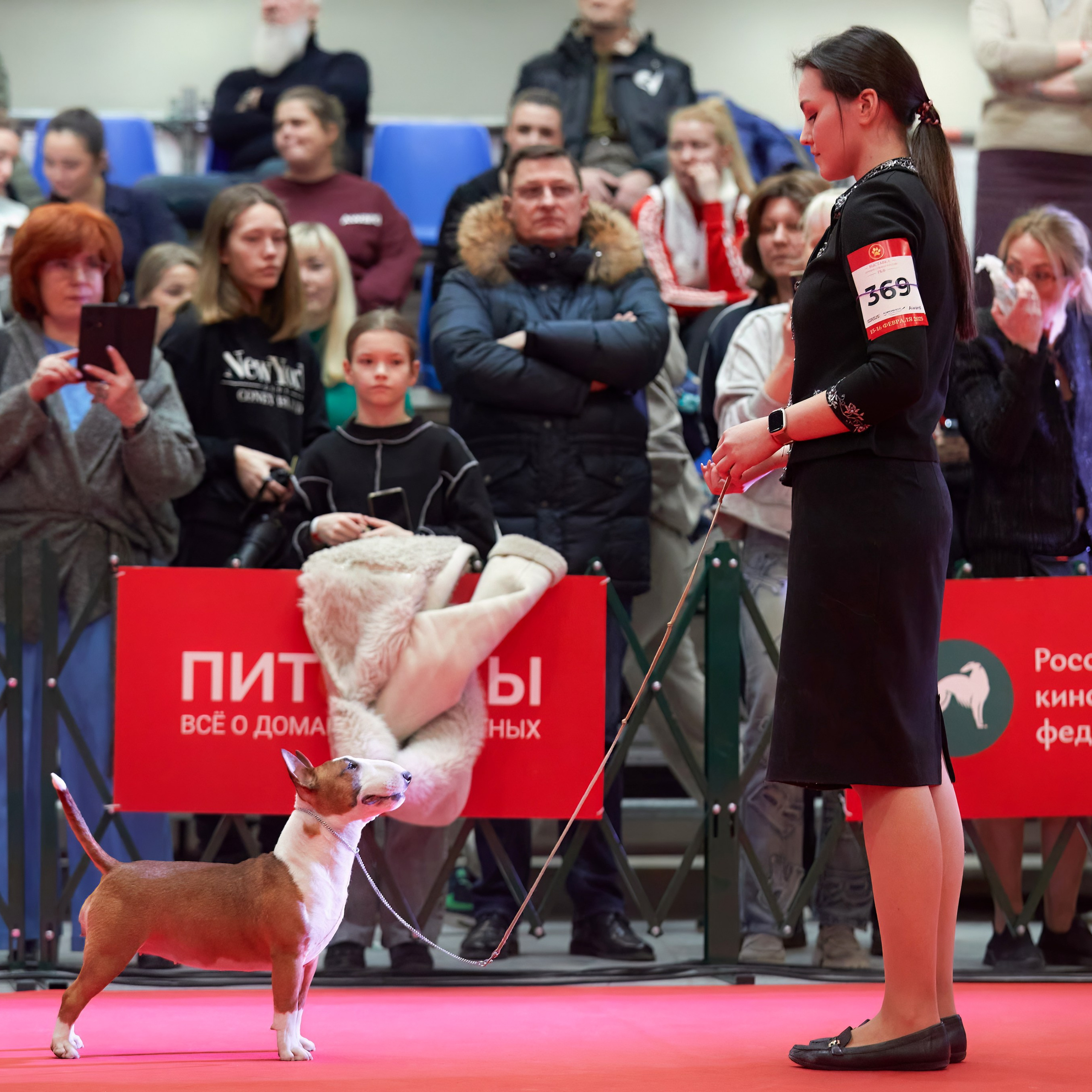 Шоу чемпионов «ЛУЧШИЕ СОБАКИ РОССИИ». ФОТОГРАФ-АНИМАЛИСТ l LANA POLYAKOVA