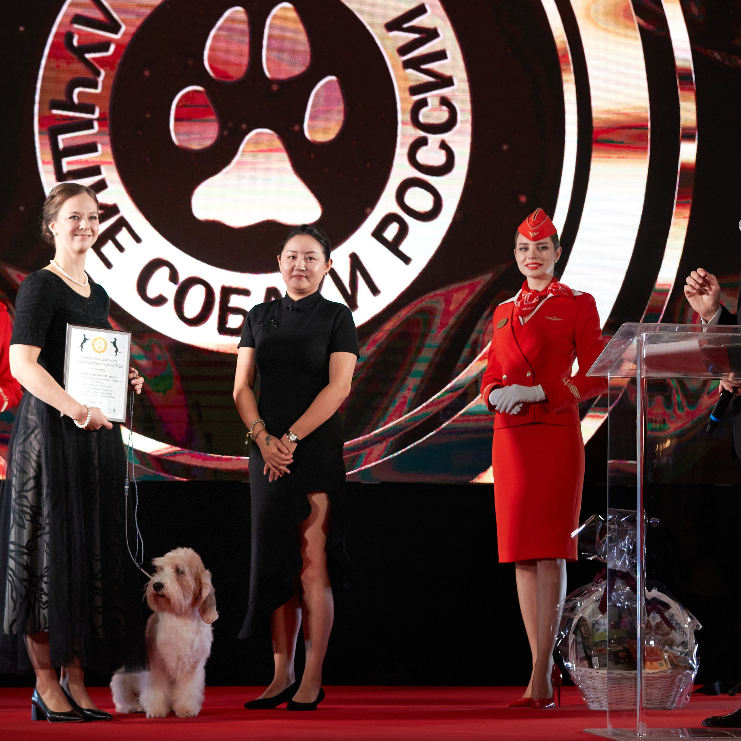 Репортаж с церемонии «BEST RUSSIAN DOG 2023». ФОТОГРАФ-АНИМАЛИСТ l LANA POLYAKOVA