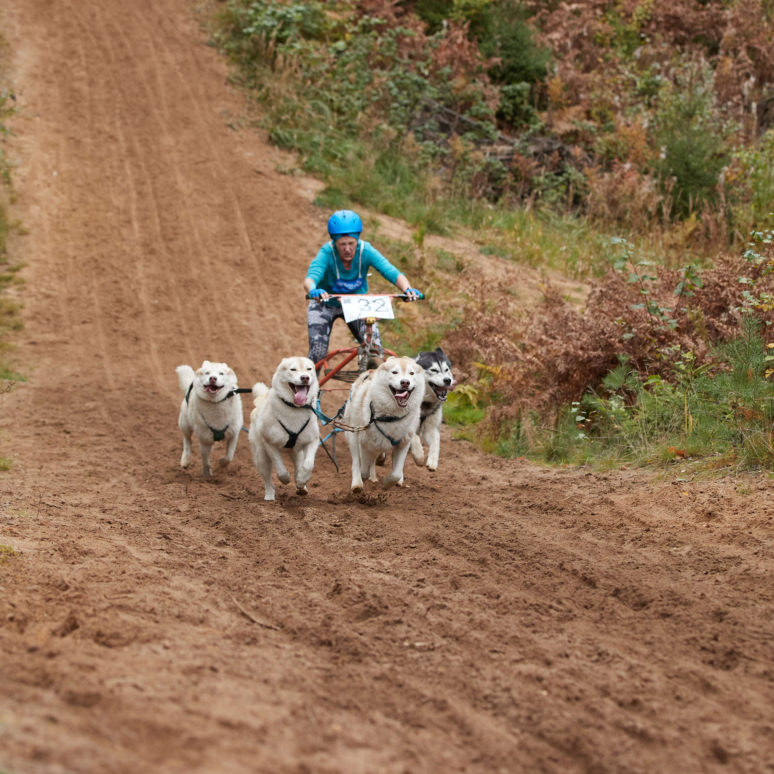ЧЕМПИОНАТ РОССИИ РКФ 25–26 сентября 2021 г. ФОТОГРАФ-АНИМАЛИСТ l LANA POLYAKOVA