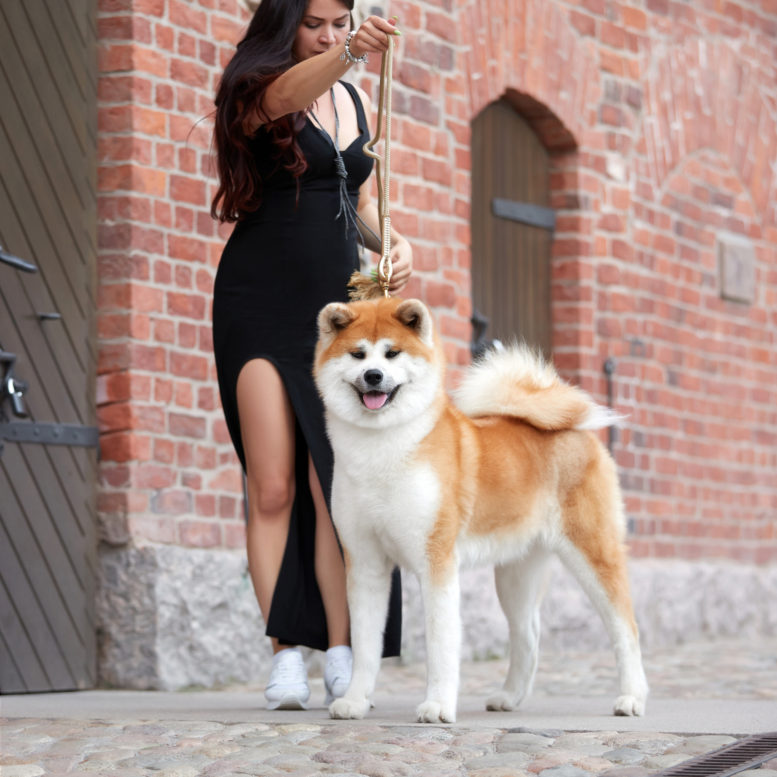 Фото-прогулка в Выборге с акитой Зуми и Ольгой. ФОТОГРАФ-АНИМАЛИСТ l LANA POLYAKOVA