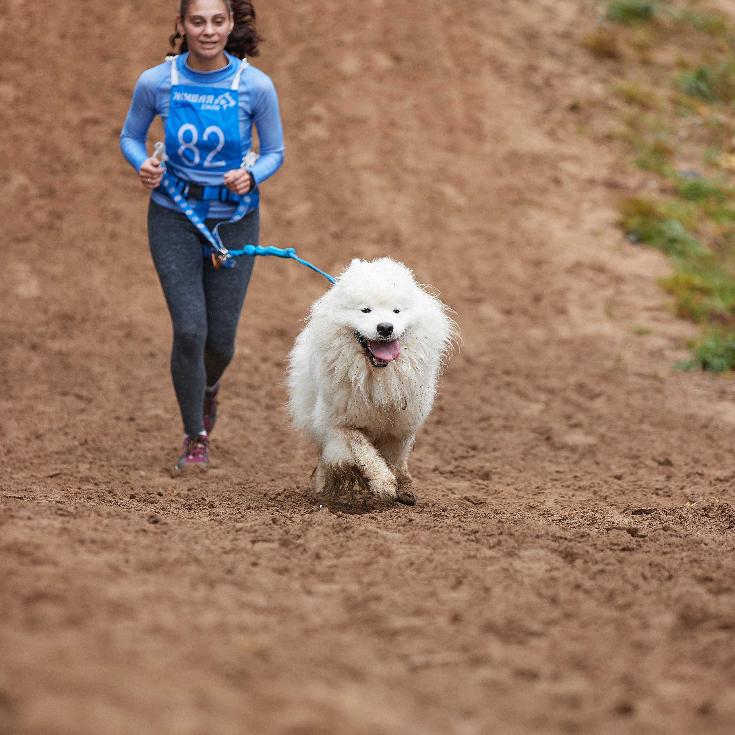 ЧЕМПИОНАТ РОССИИ РКФ 25–26 сентября 2021 г. ФОТОГРАФ-АНИМАЛИСТ l LANA POLYAKOVA