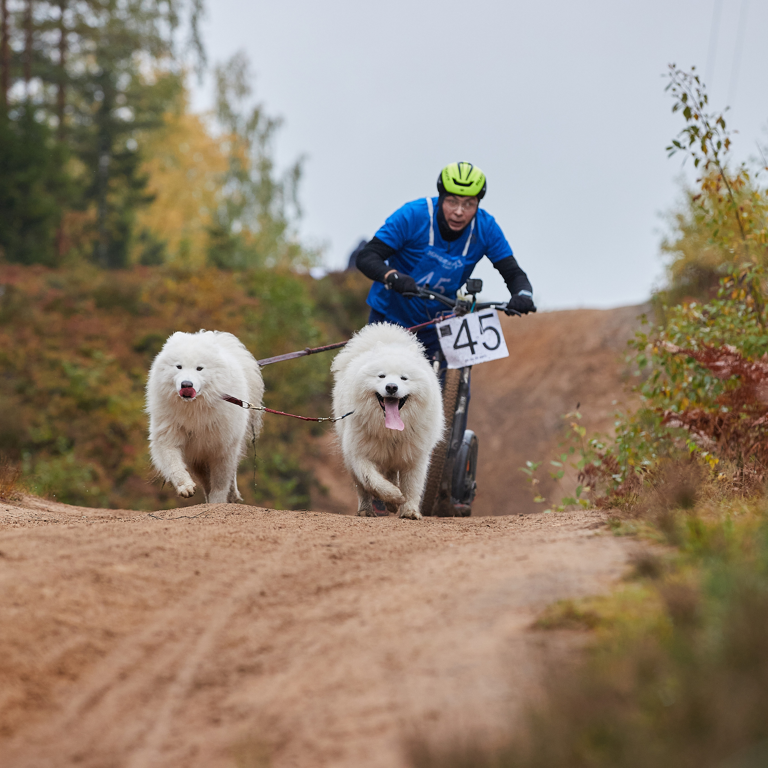 ЧЕМПИОНАТ РОССИИ РКФ 25–26 сентября 2021 г. ФОТОГРАФ-АНИМАЛИСТ l LANA POLYAKOVA