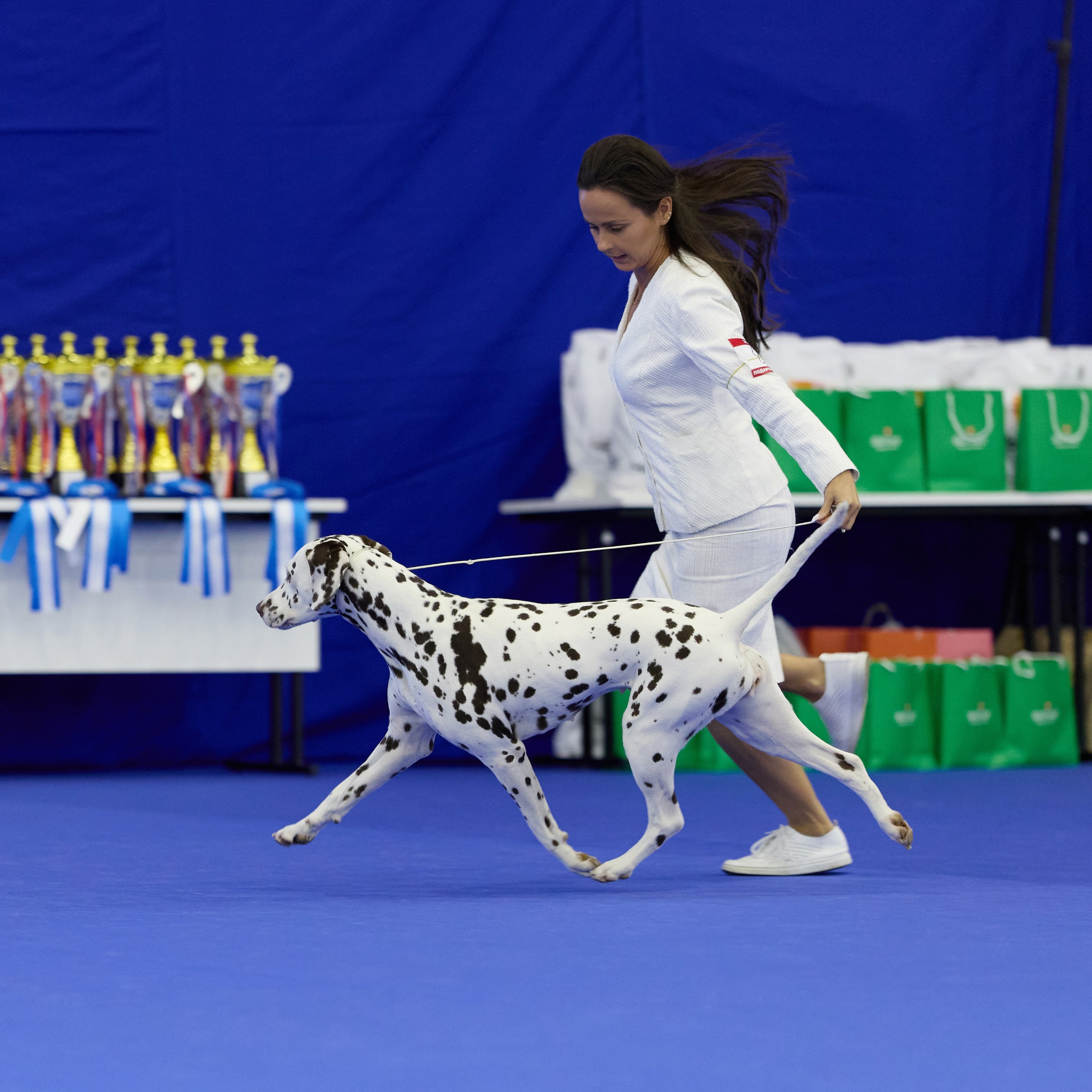 ВЫСТАВКА СОБАК С ОСОБЫМ СТАТУСОМ «НЕВСКИЙ ПОБЕДИТЕЛЬ» 12-13-14.12.2025. ФОТОГРАФ-АНИМАЛИСТ l LANA POLYAKOVA