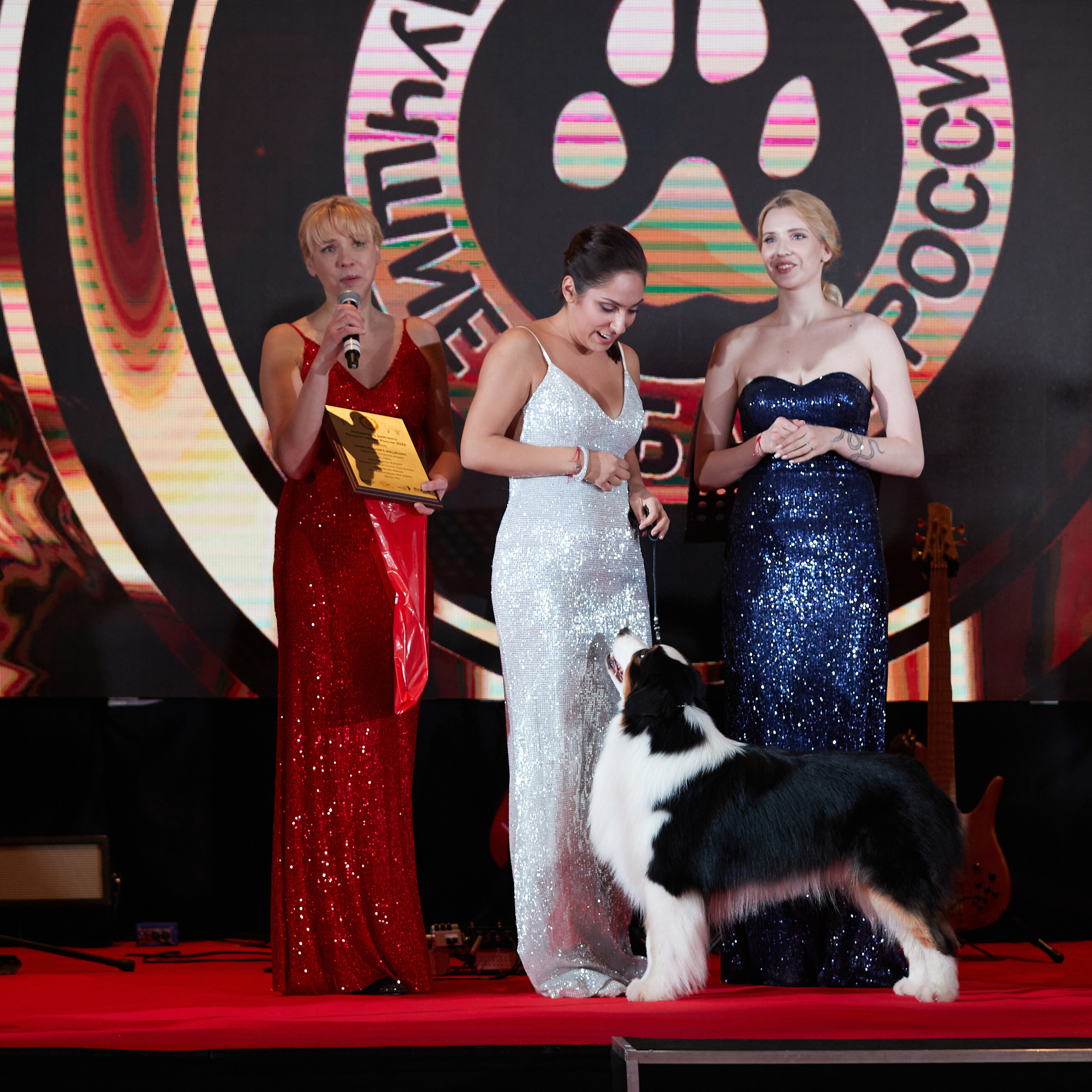 Репортаж с церемонии «BEST RUSSIAN DOG 2022». ФОТОГРАФ-АНИМАЛИСТ l LANA POLYAKOVA