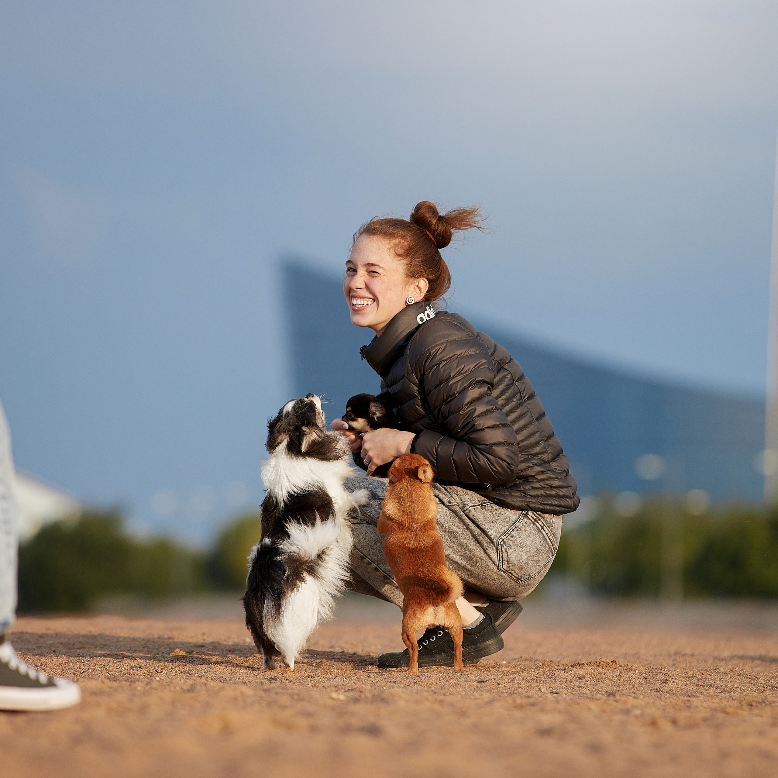 Ярик и компания. Фотопрогулка чихуа. ФОТОГРАФ-АНИМАЛИСТ l LANA POLYAKOVA