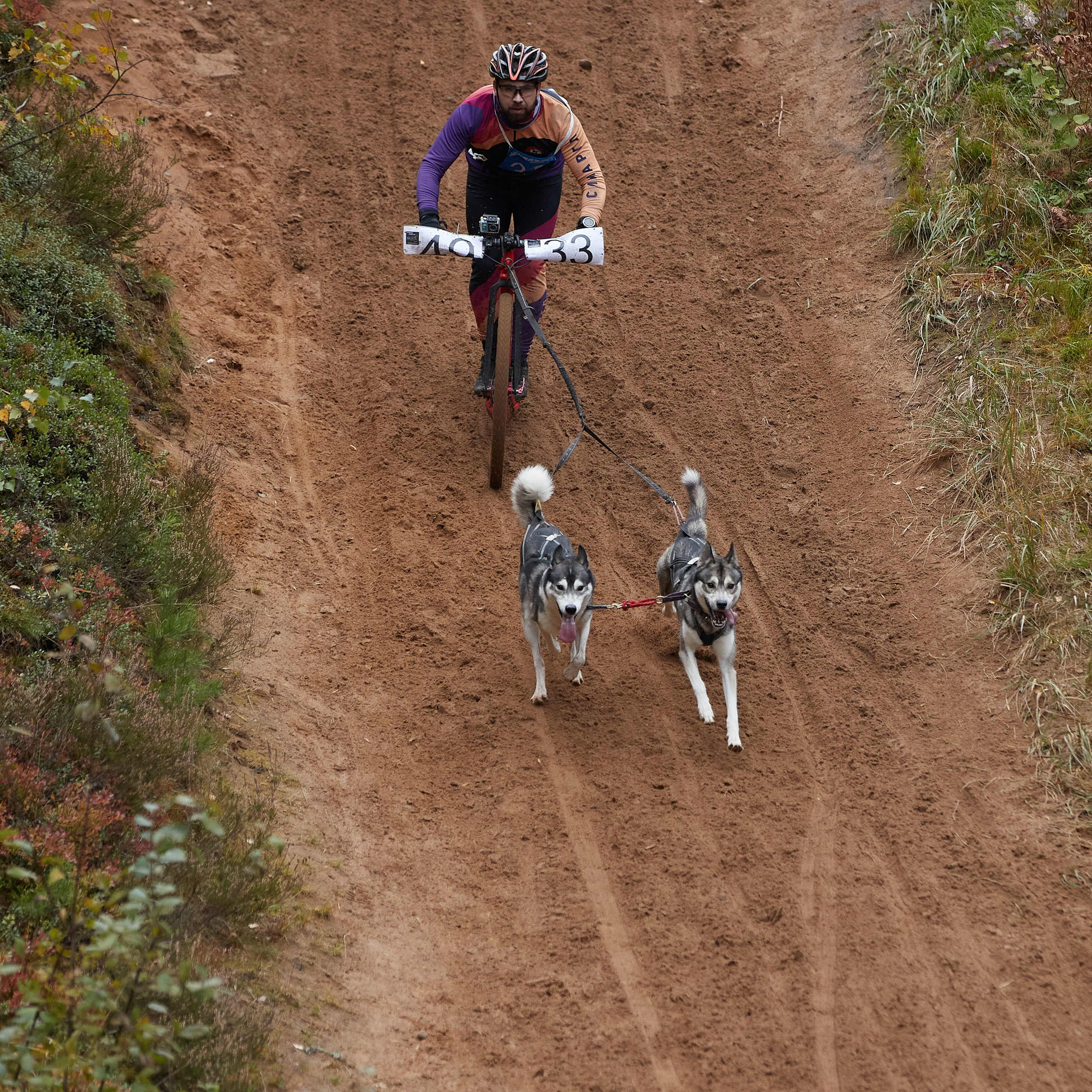 ЧЕМПИОНАТ РОССИИ РКФ 25–26 сентября 2021 г. ФОТОГРАФ-АНИМАЛИСТ l LANA POLYAKOVA