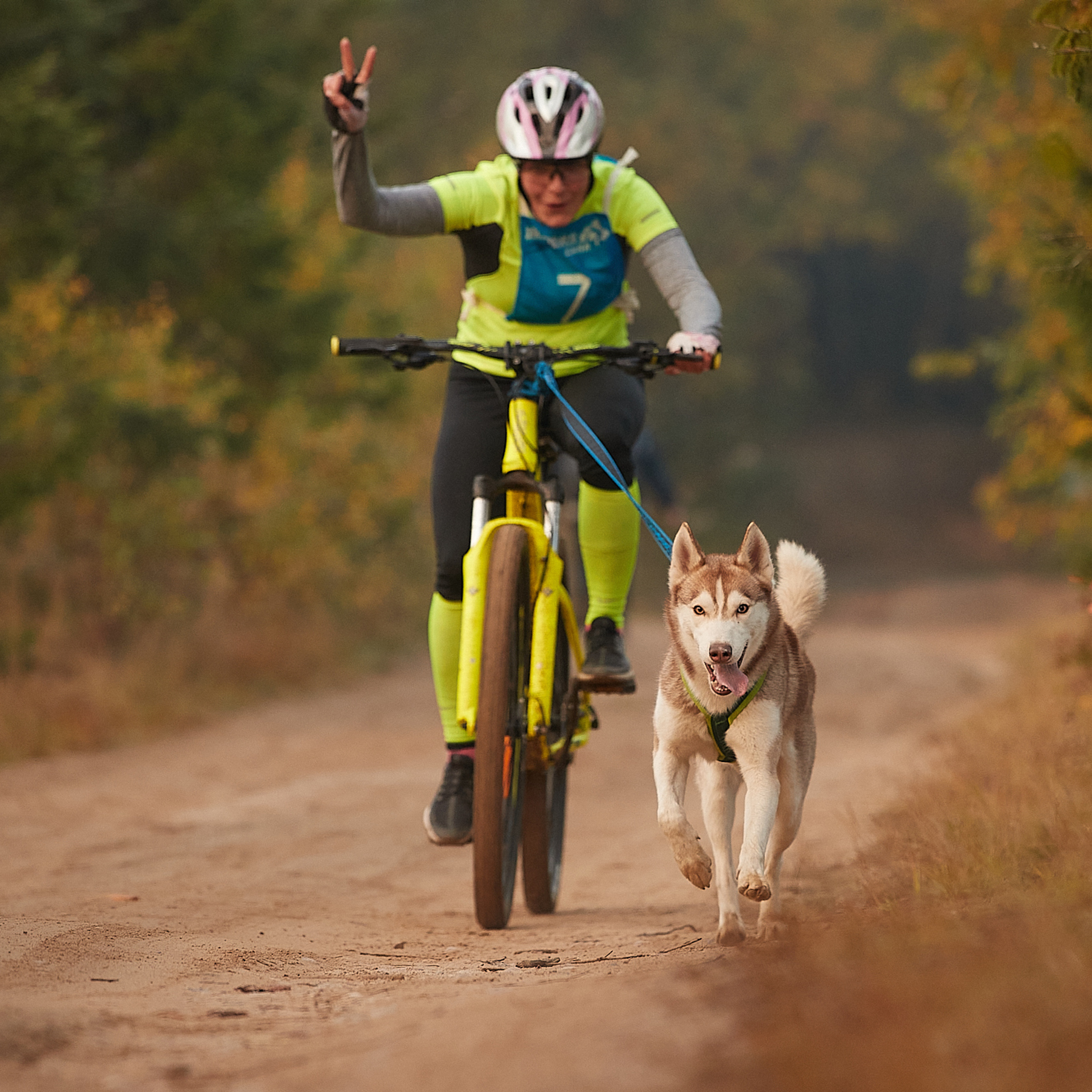 ЧЕМПИОНАТ РОССИИ РКФ 27 сентября 2020 г., 2й день. ФОТОГРАФ-АНИМАЛИСТ l LANA POLYAKOVA
