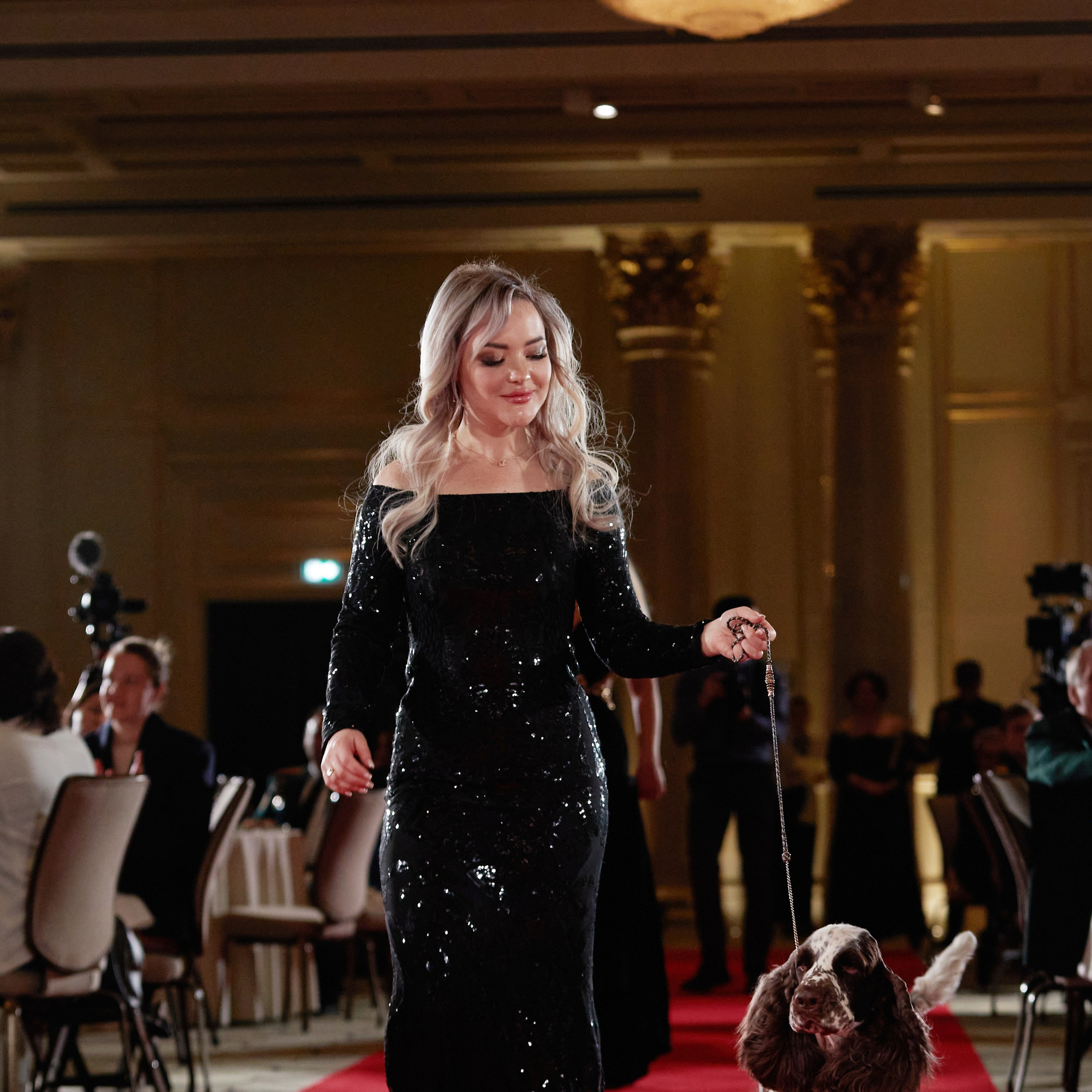 Репортаж с церемонии «BEST RUSSIAN DOG 2023». ФОТОГРАФ-АНИМАЛИСТ l LANA POLYAKOVA