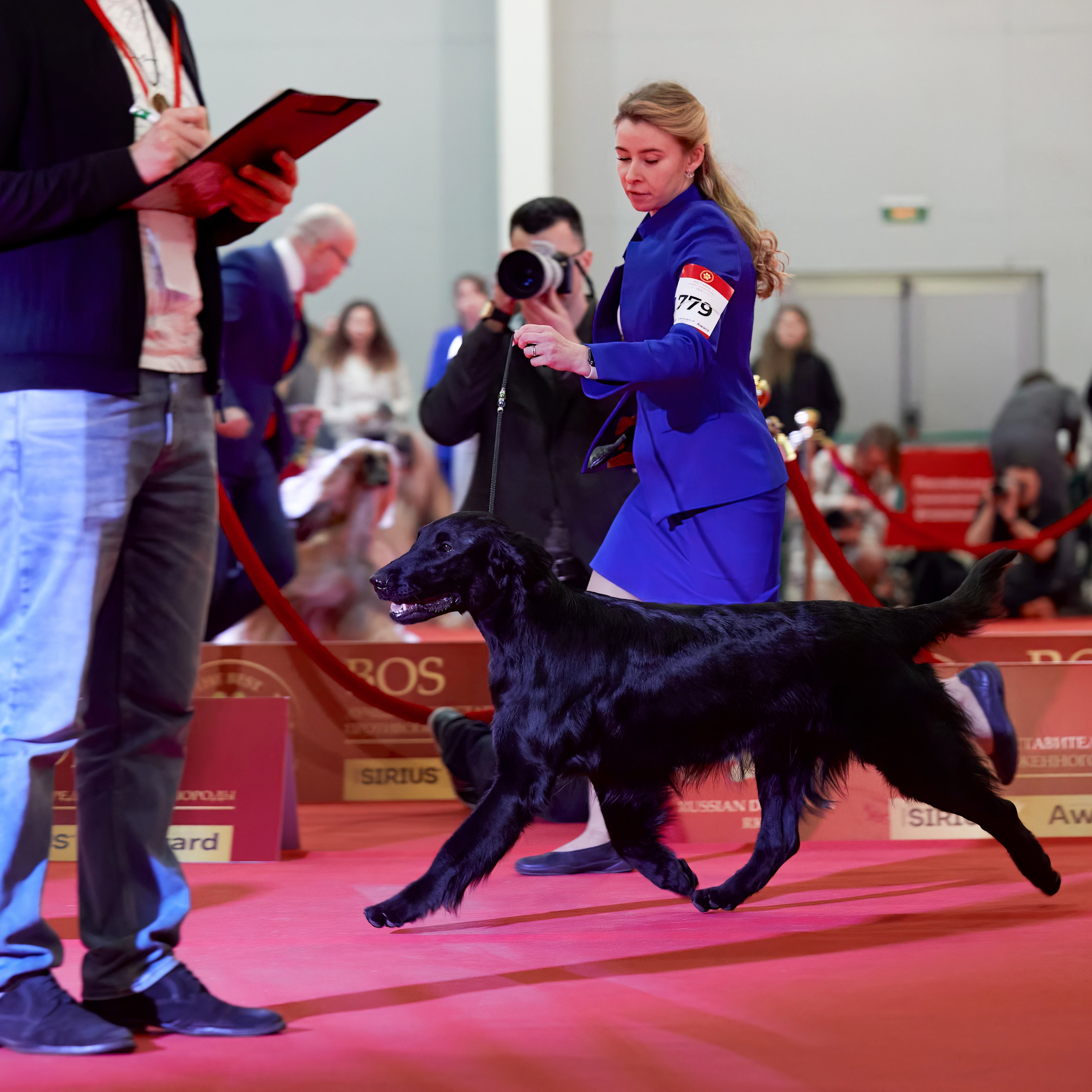 Шоу чемпионов «ЛУЧШИЕ СОБАКИ РОССИИ». ФОТОГРАФ-АНИМАЛИСТ l LANA POLYAKOVA