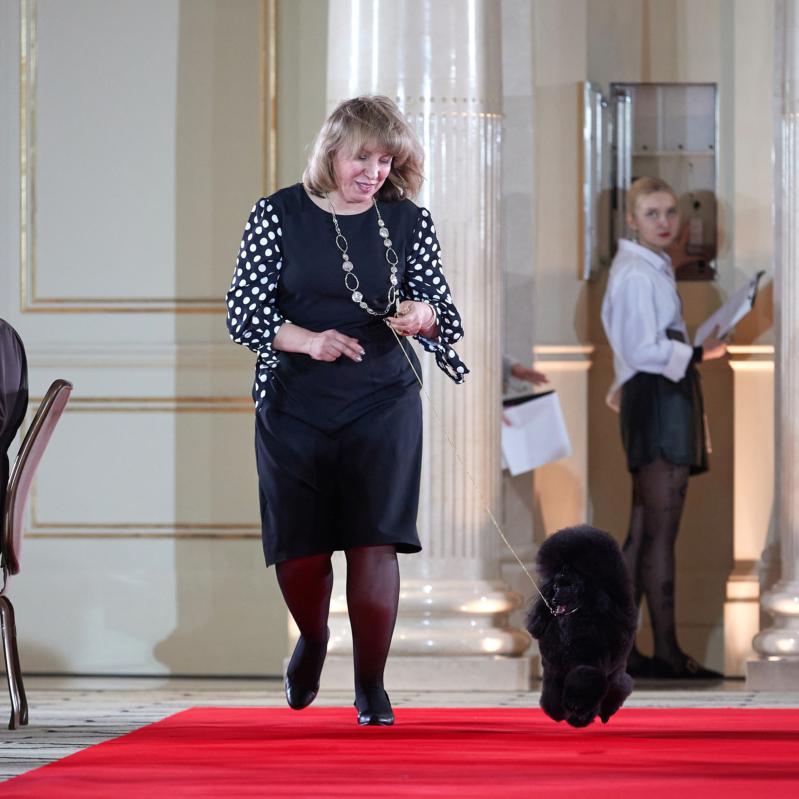 Репортаж с церемонии «BEST RUSSIAN DOG 2022». ФОТОГРАФ-АНИМАЛИСТ l LANA POLYAKOVA