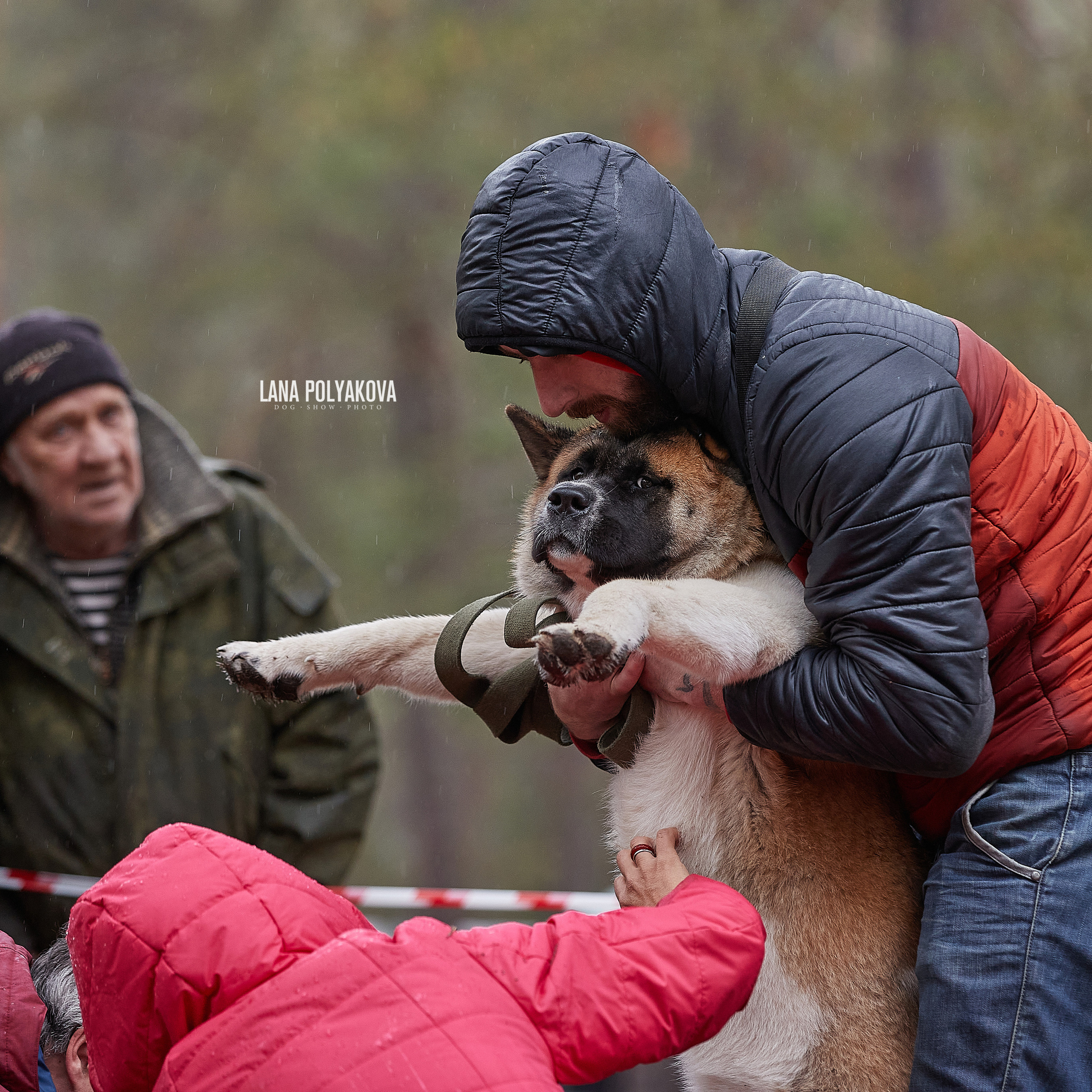 ЧЕМПИОНАТ РОССИИ РКФ 25–26 сентября 2021 г. ФОТОГРАФ-АНИМАЛИСТ l LANA POLYAKOVA