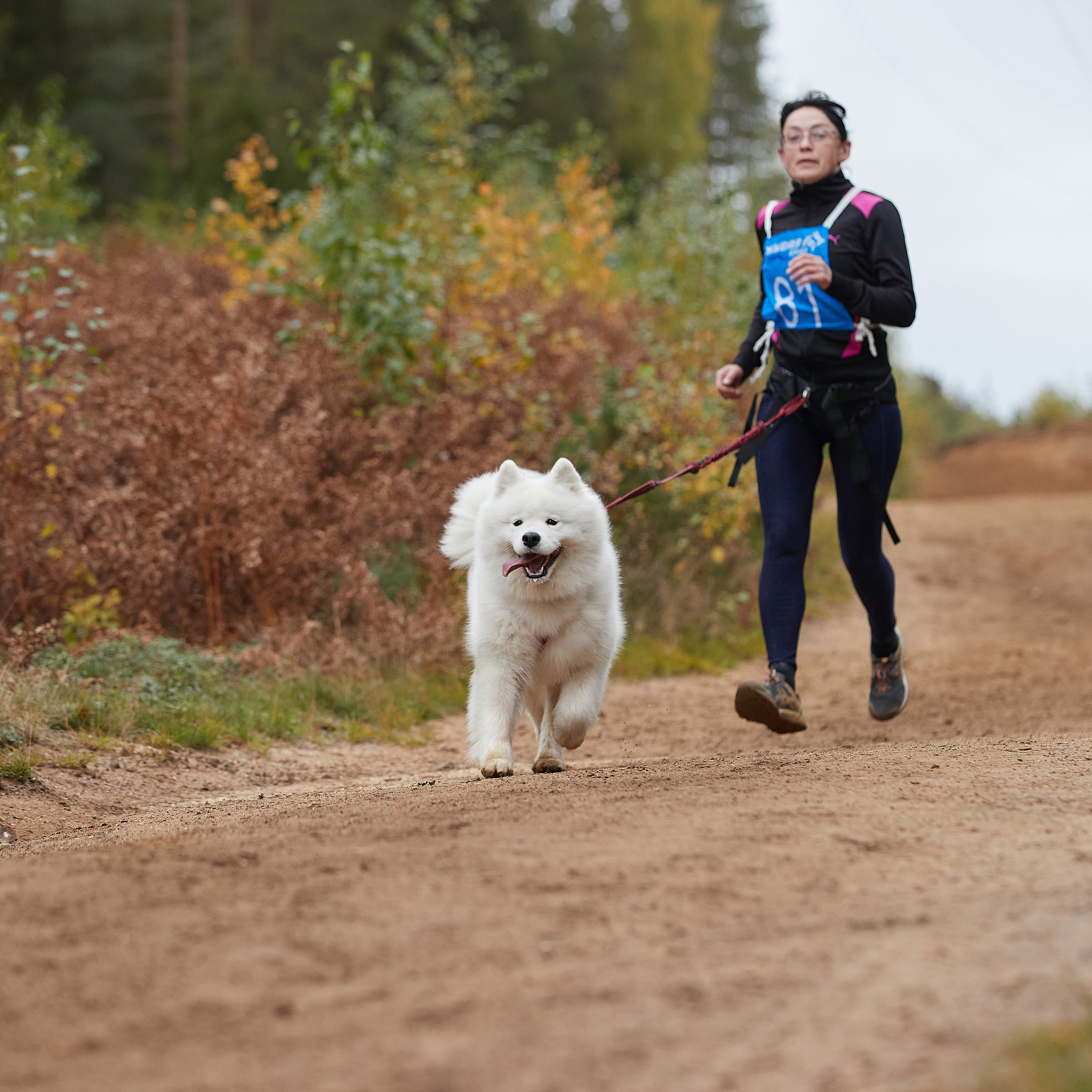 ЧЕМПИОНАТ РОССИИ РКФ 25–26 сентября 2021 г. ФОТОГРАФ-АНИМАЛИСТ l LANA POLYAKOVA
