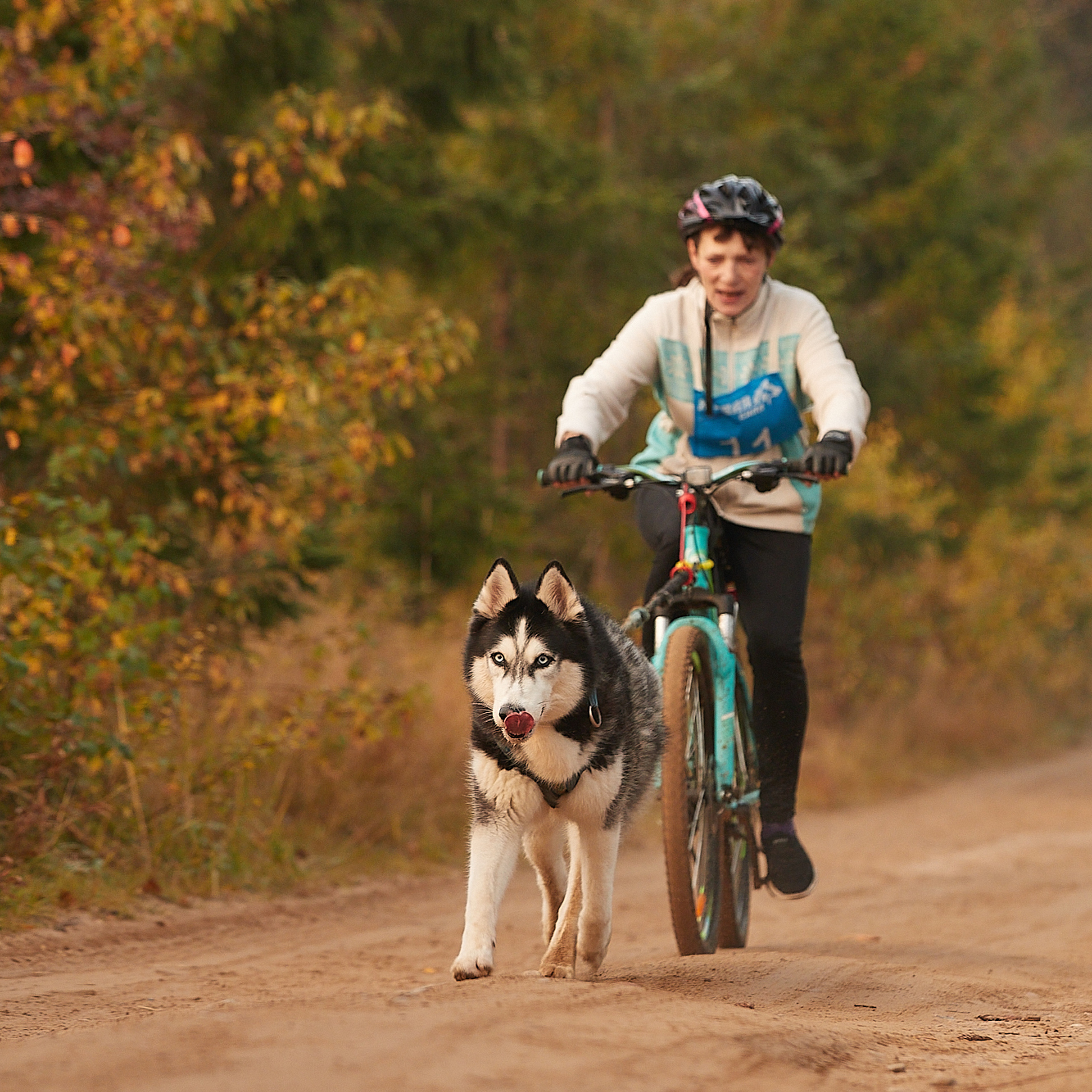 ЧЕМПИОНАТ РОССИИ РКФ 27 сентября 2020 г., 2й день. ФОТОГРАФ-АНИМАЛИСТ l LANA POLYAKOVA