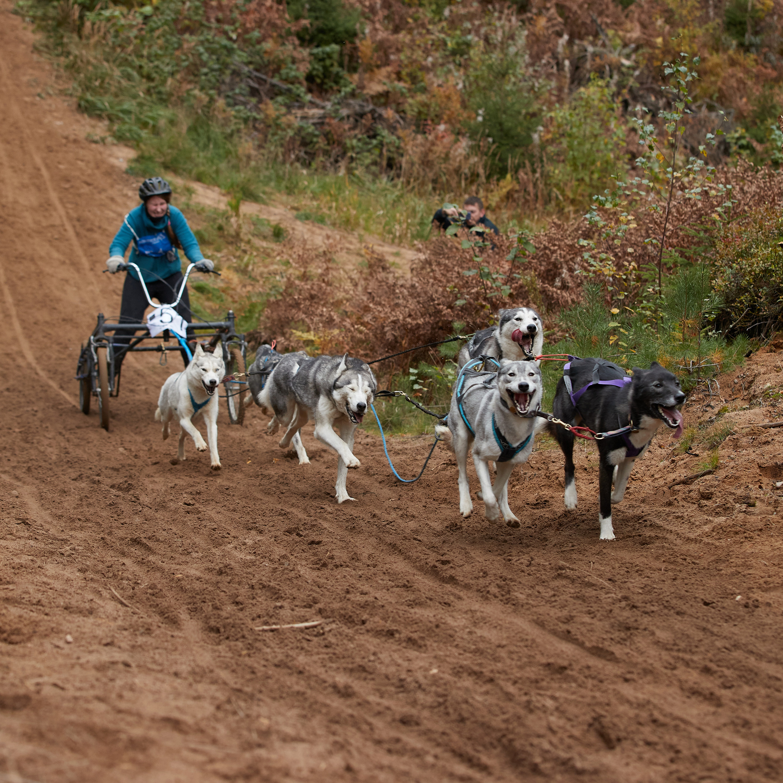 ЧЕМПИОНАТ РОССИИ РКФ 25–26 сентября 2021 г. ФОТОГРАФ-АНИМАЛИСТ l LANA POLYAKOVA