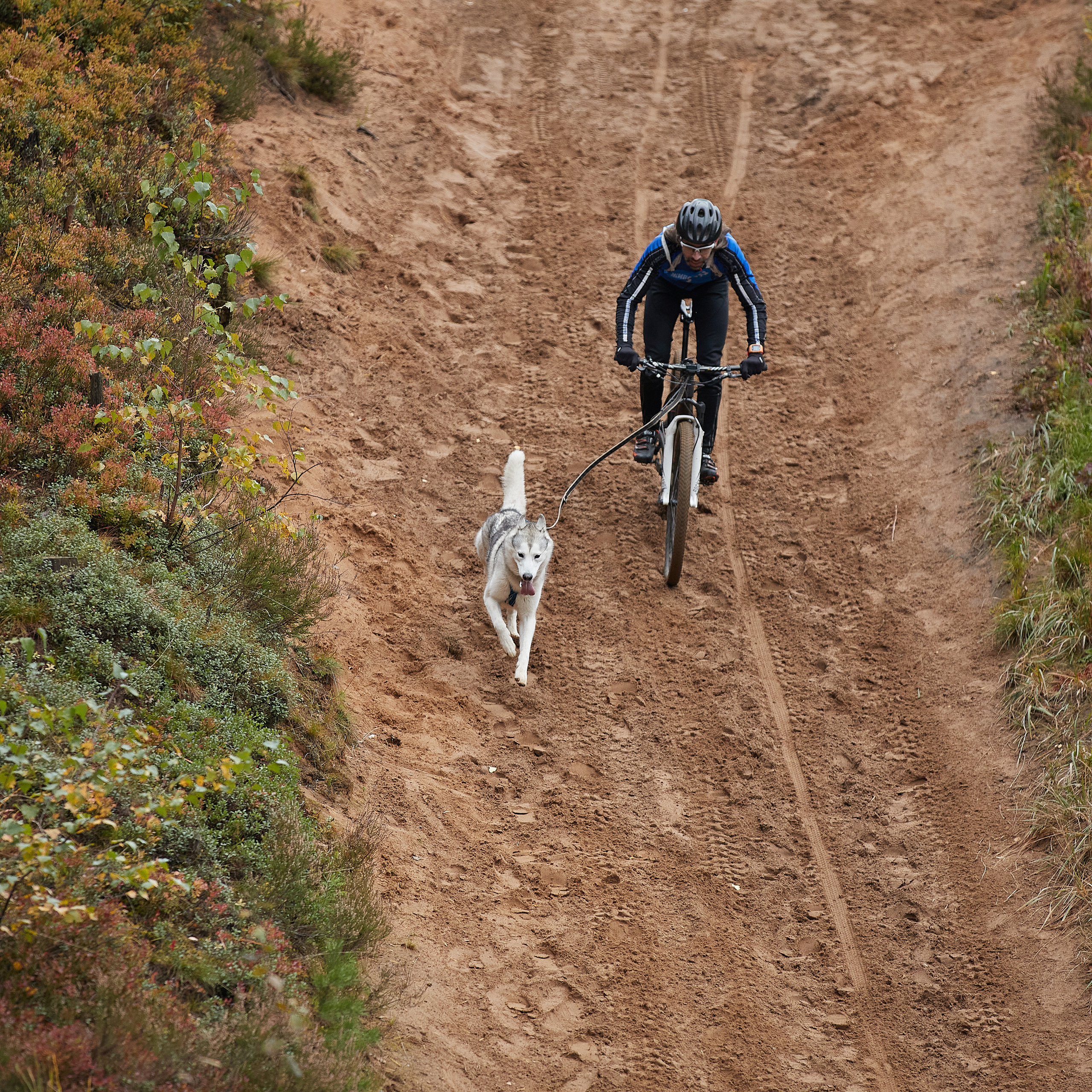 ЧЕМПИОНАТ РОССИИ РКФ 25–26 сентября 2021 г. ФОТОГРАФ-АНИМАЛИСТ l LANA POLYAKOVA