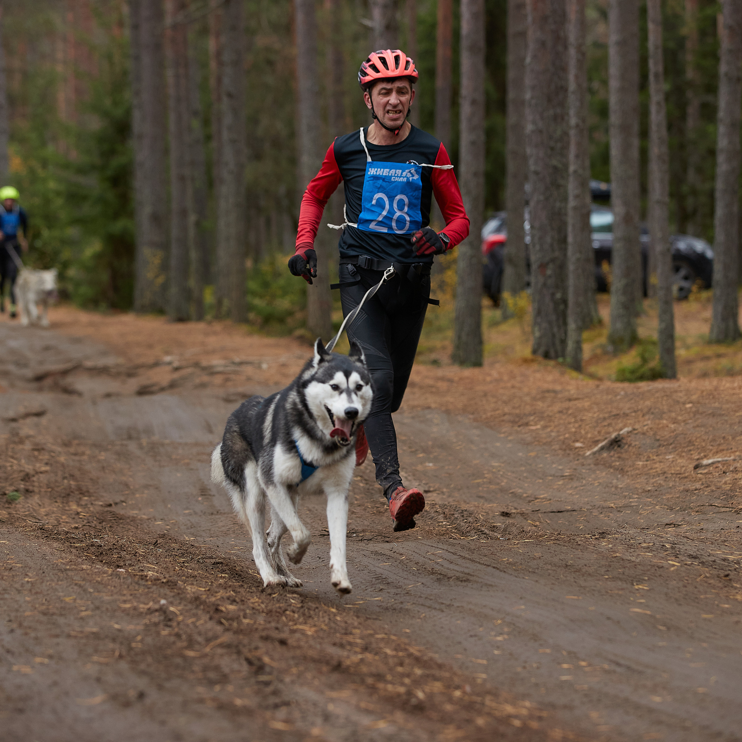 ЧЕМПИОНАТ РОССИИ РКФ 25–26 сентября 2021 г. ФОТОГРАФ-АНИМАЛИСТ l LANA POLYAKOVA