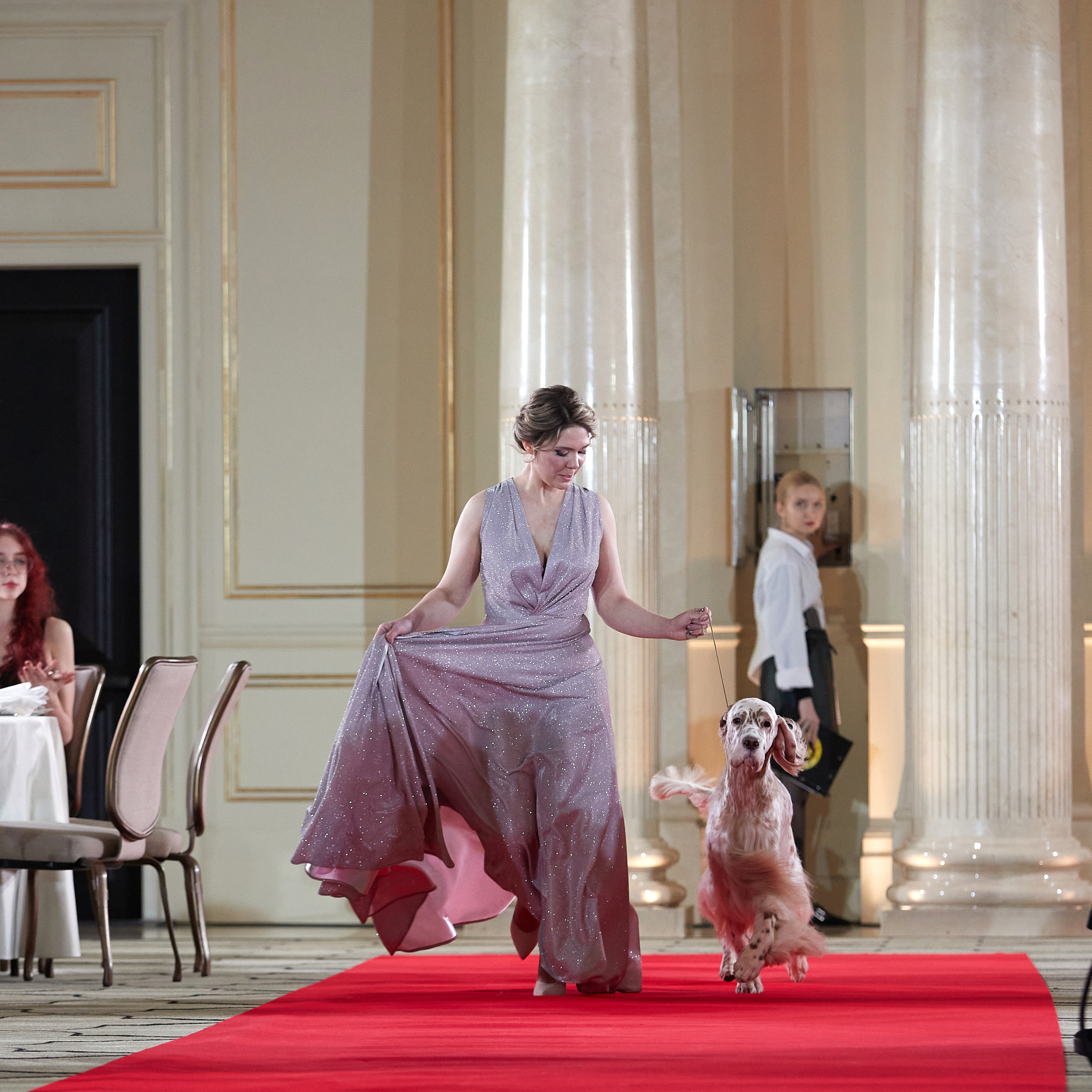 Репортаж с церемонии «BEST RUSSIAN DOG 2022». ФОТОГРАФ-АНИМАЛИСТ l LANA POLYAKOVA