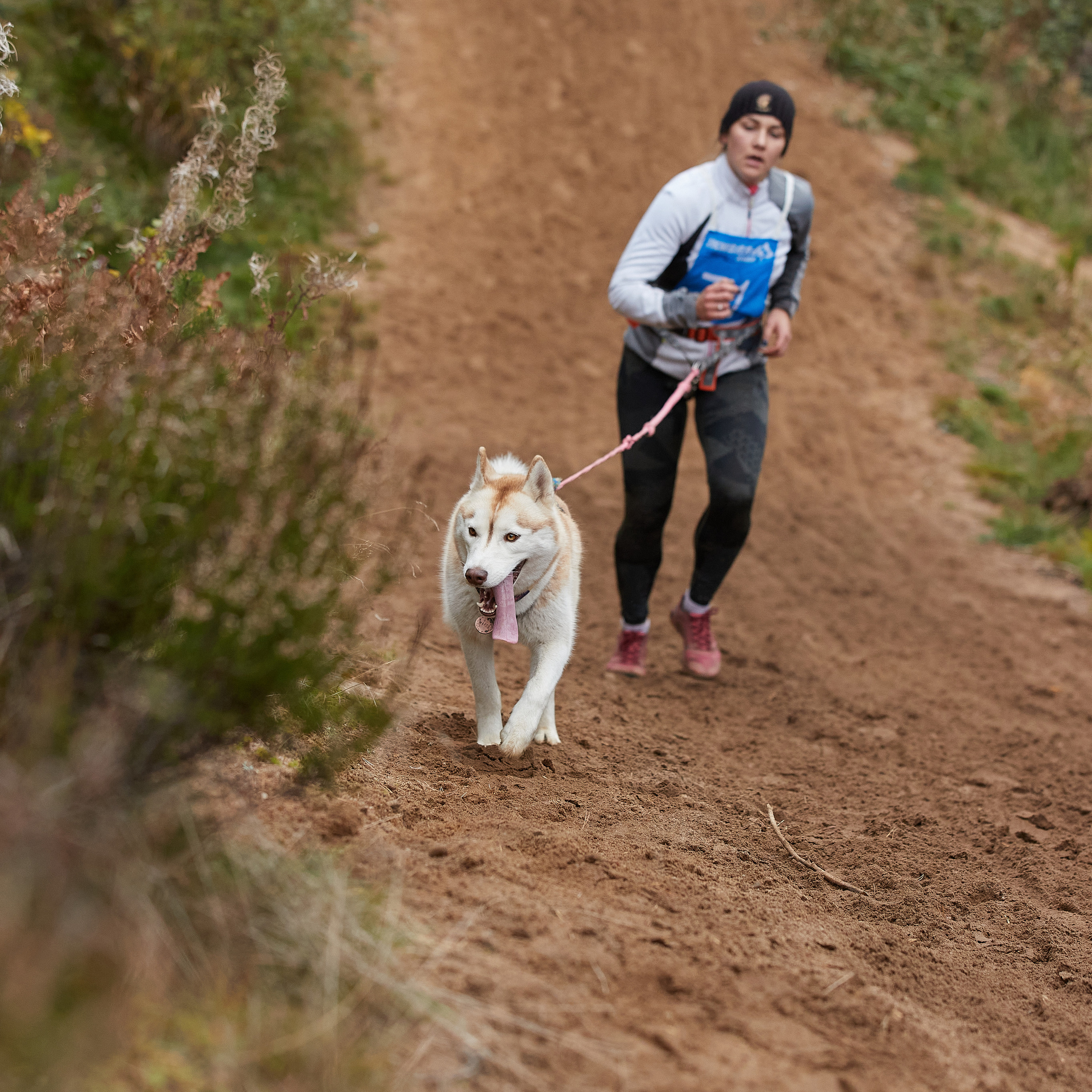 ЧЕМПИОНАТ РОССИИ РКФ 25–26 сентября 2021 г. ФОТОГРАФ-АНИМАЛИСТ l LANA POLYAKOVA