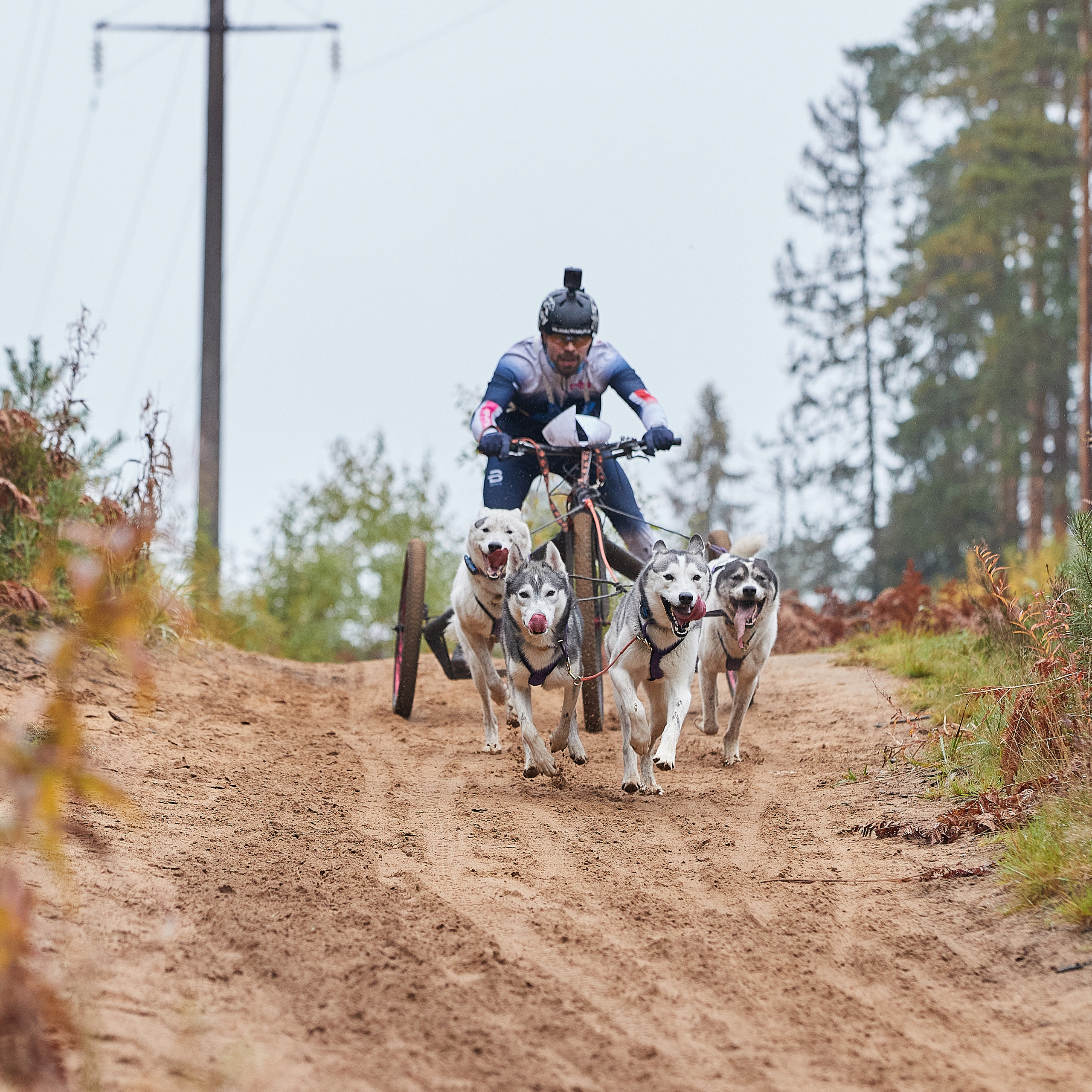 ЧЕМПИОНАТ РОССИИ РКФ 25–26 сентября 2021 г. ФОТОГРАФ-АНИМАЛИСТ l LANA POLYAKOVA