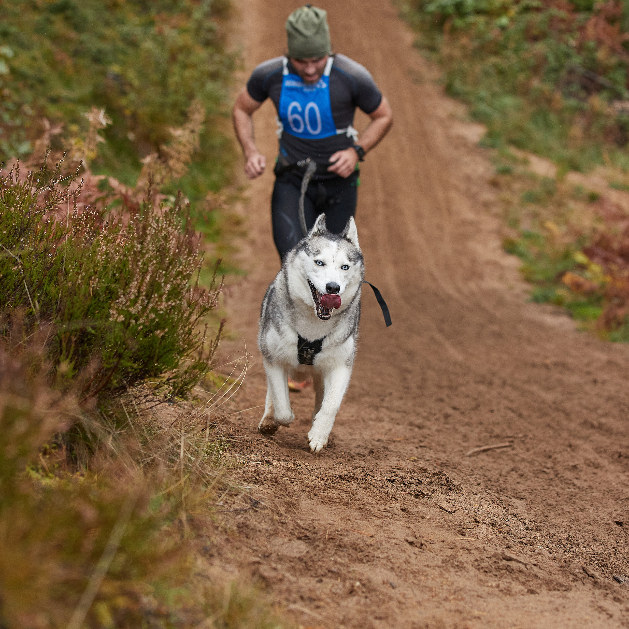 ЧЕМПИОНАТ РОССИИ РКФ 25–26 сентября 2021 г. ФОТОГРАФ-АНИМАЛИСТ l LANA POLYAKOVA